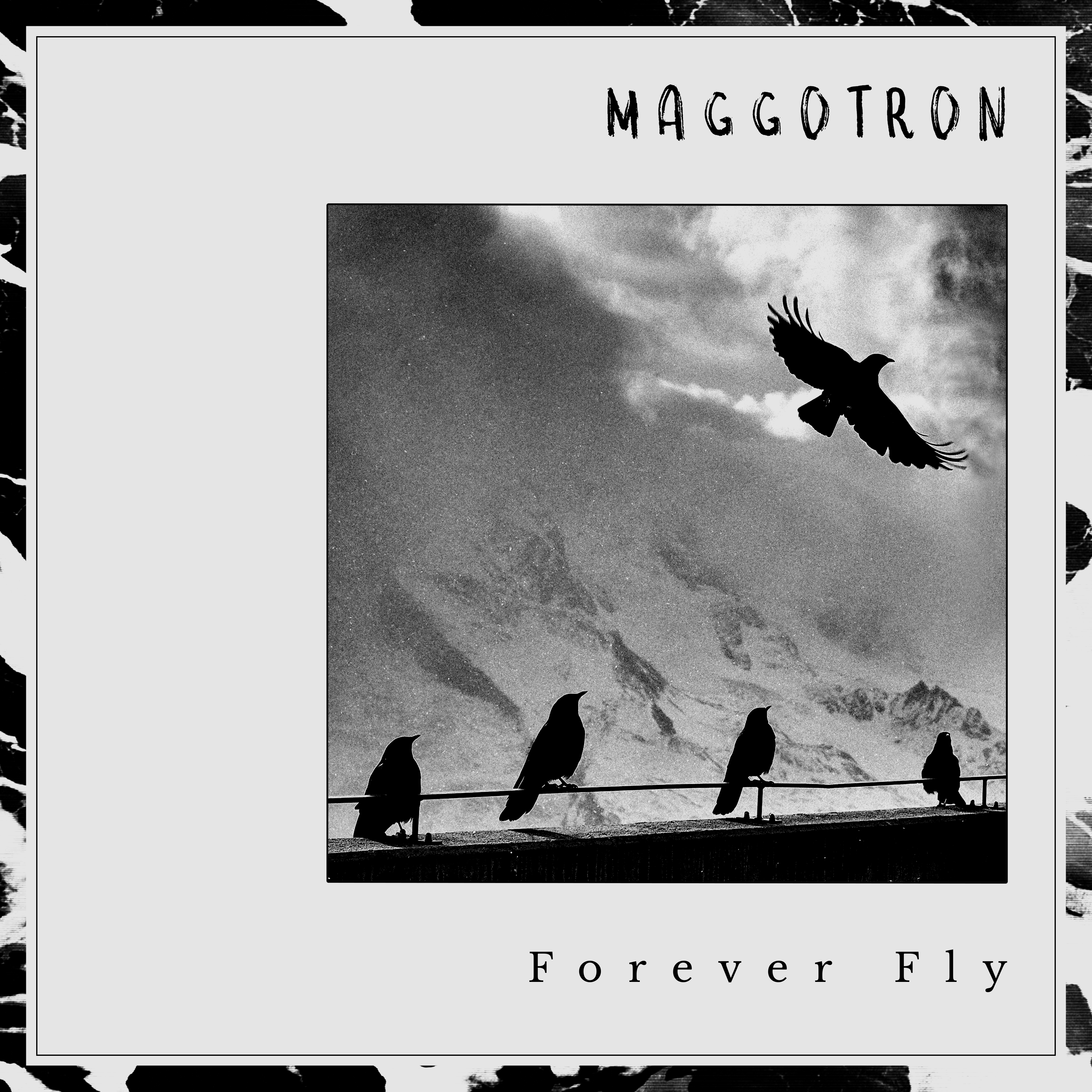 Forever Fly artwork