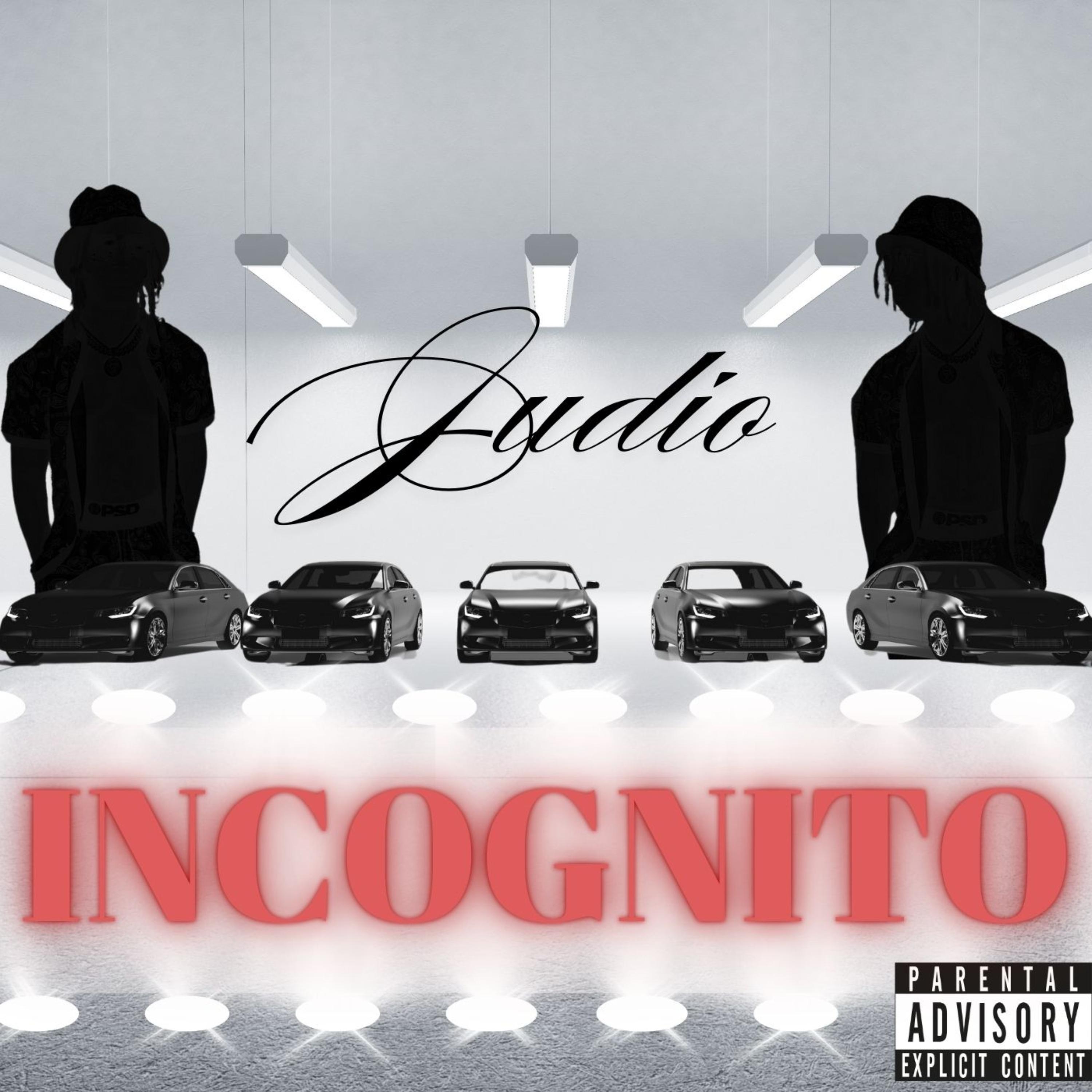 Incognito artwork