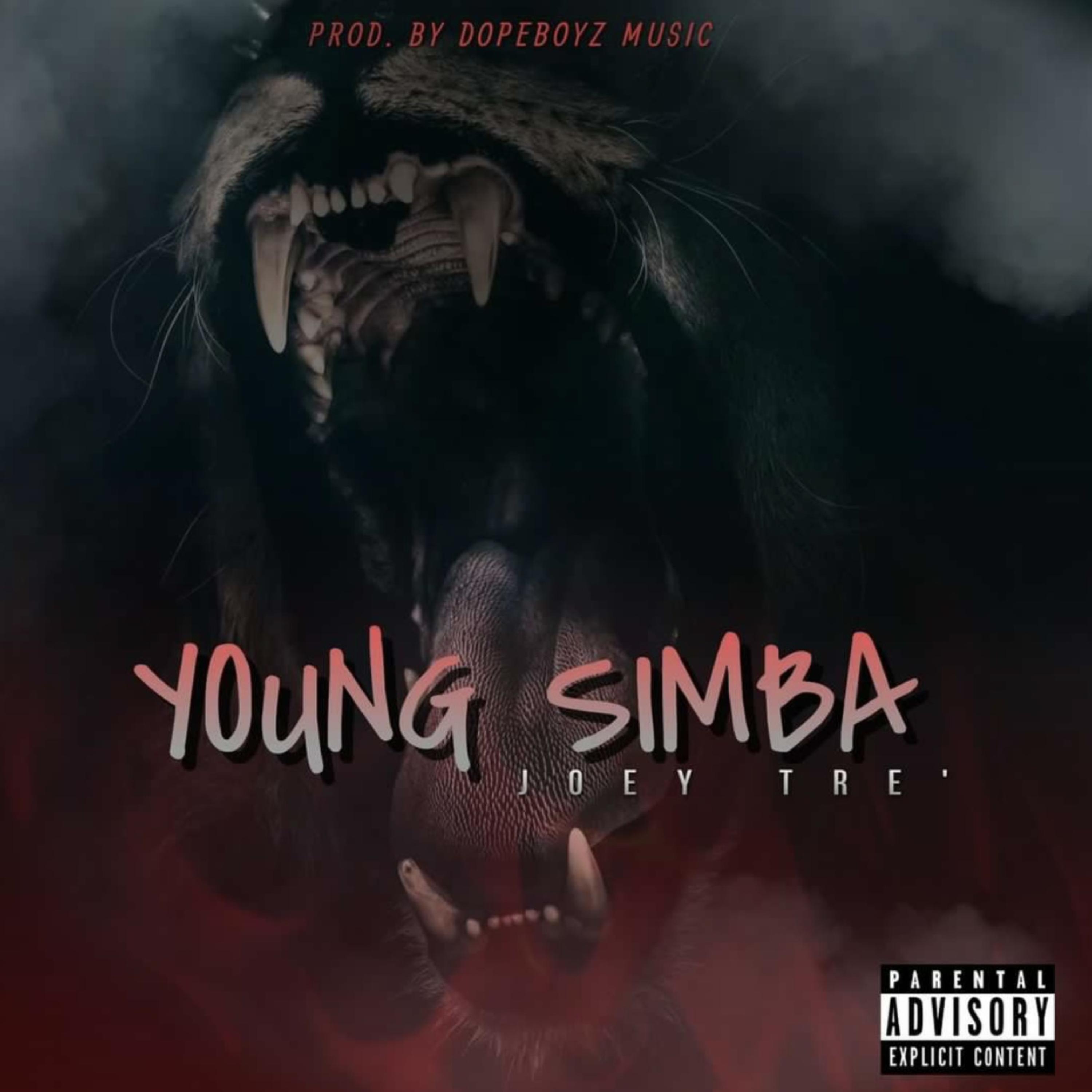 Young Simba artwork