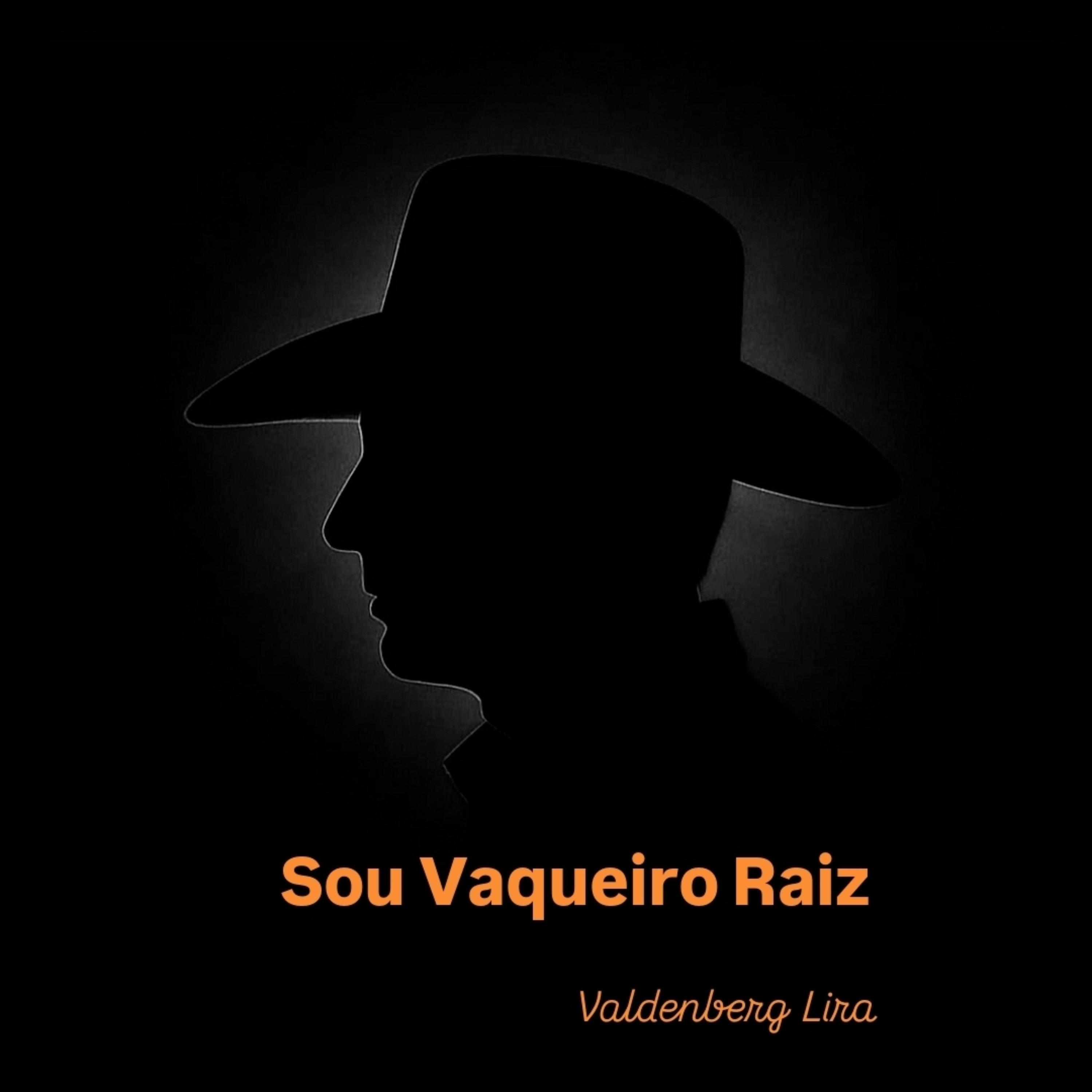 Sou Vaqueiro Raiz artwork