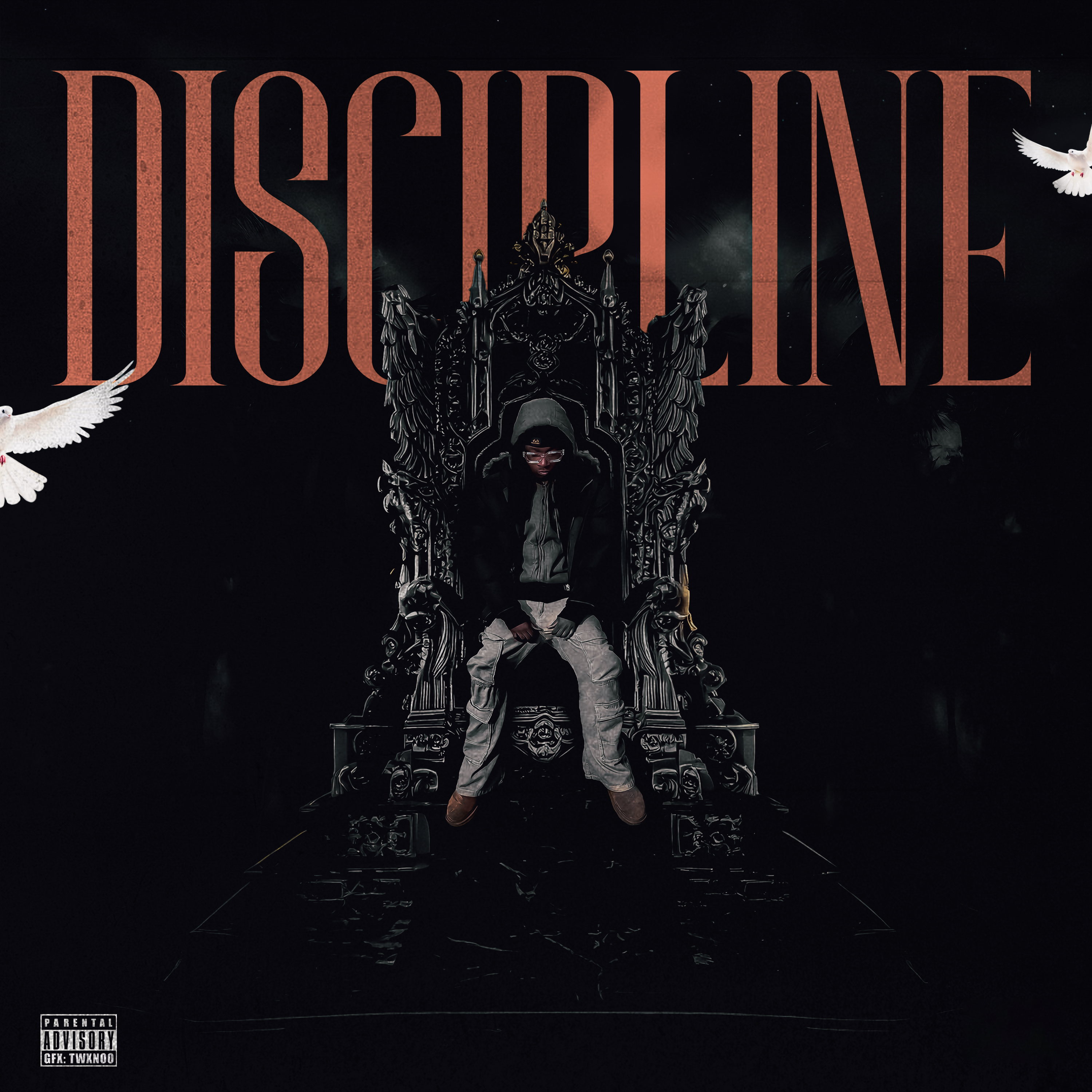 Discipline artwork
