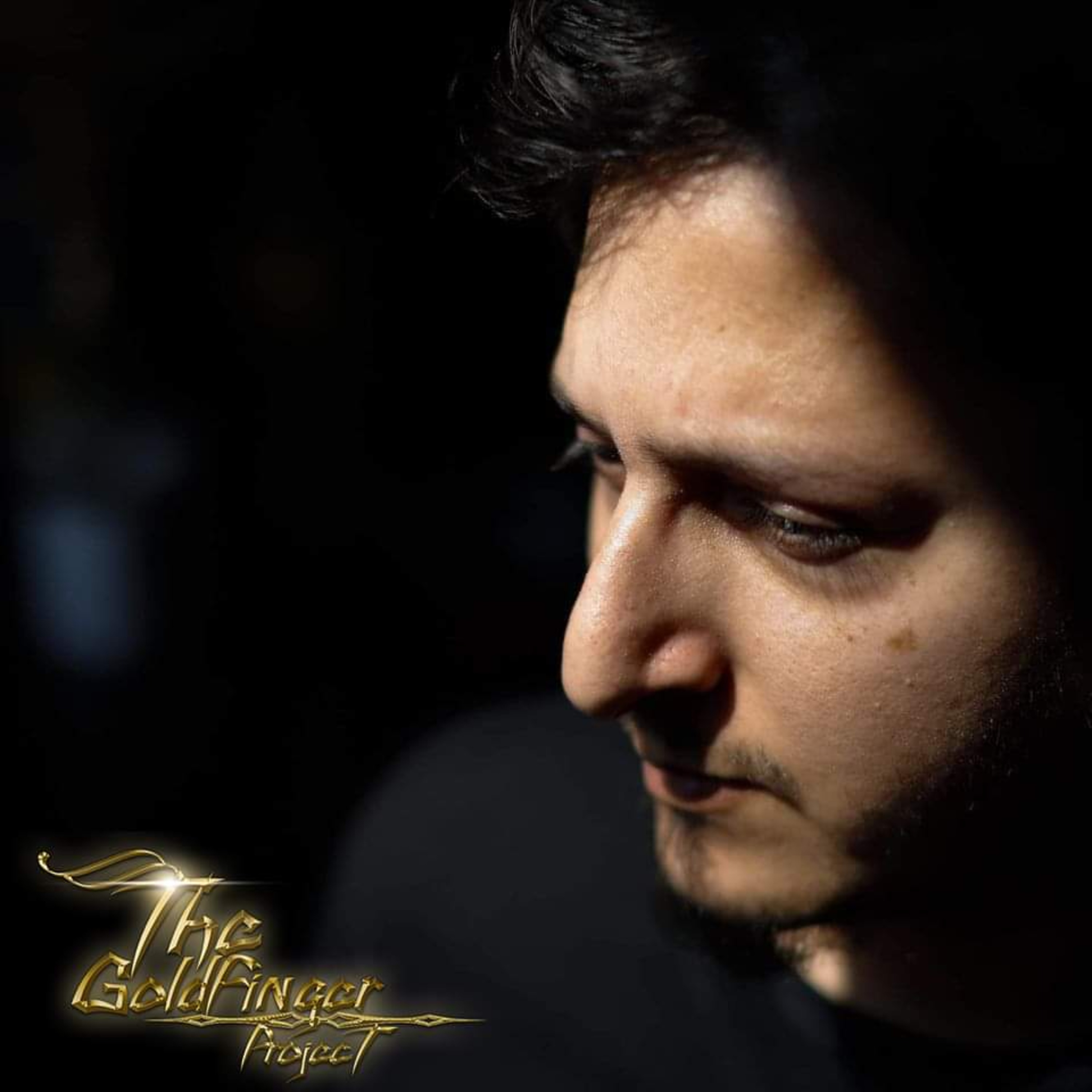 the setting sun by Todd Goldfinger cover art