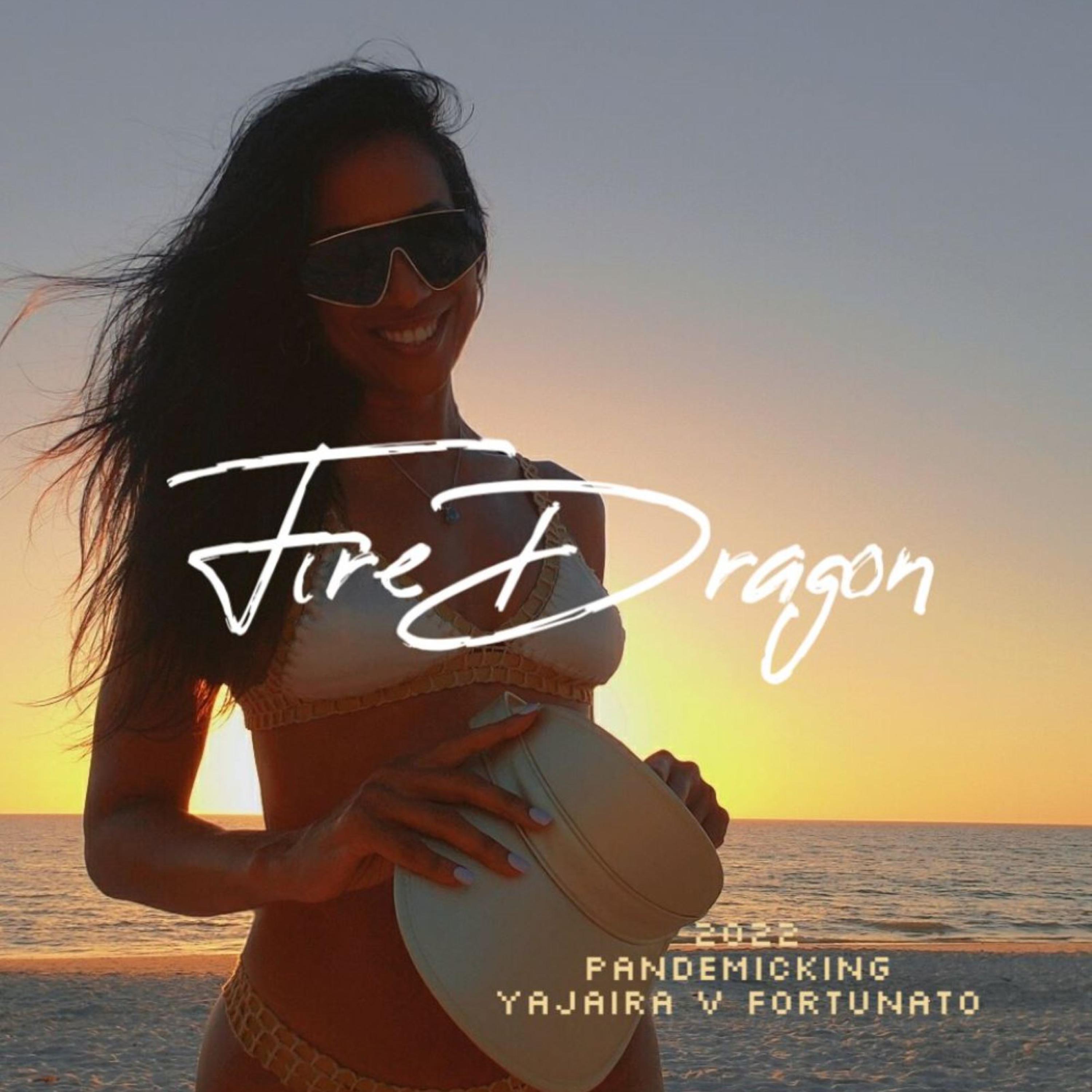Fire Dragon 2022 Pandemicking artwork