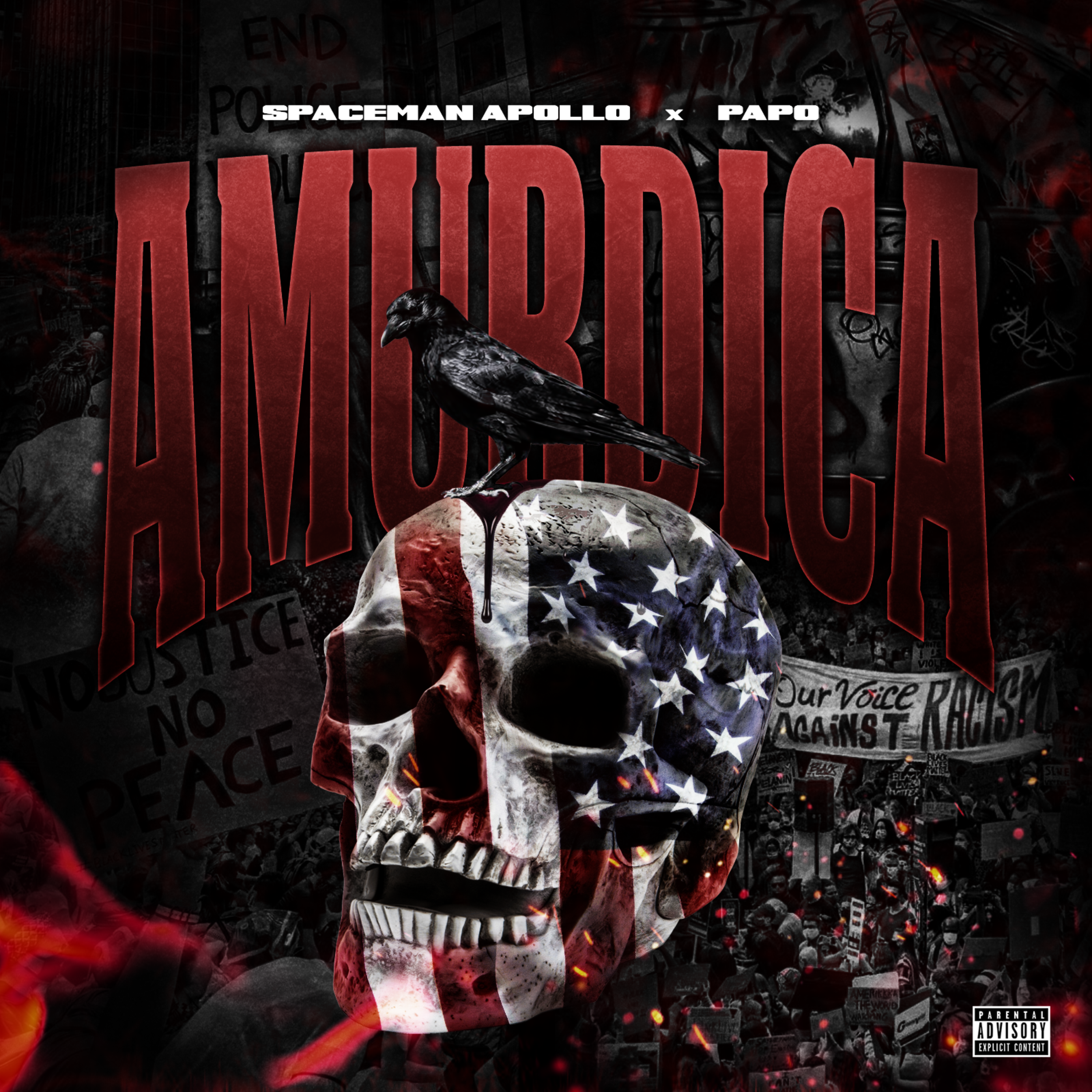 AMURDICA artwork