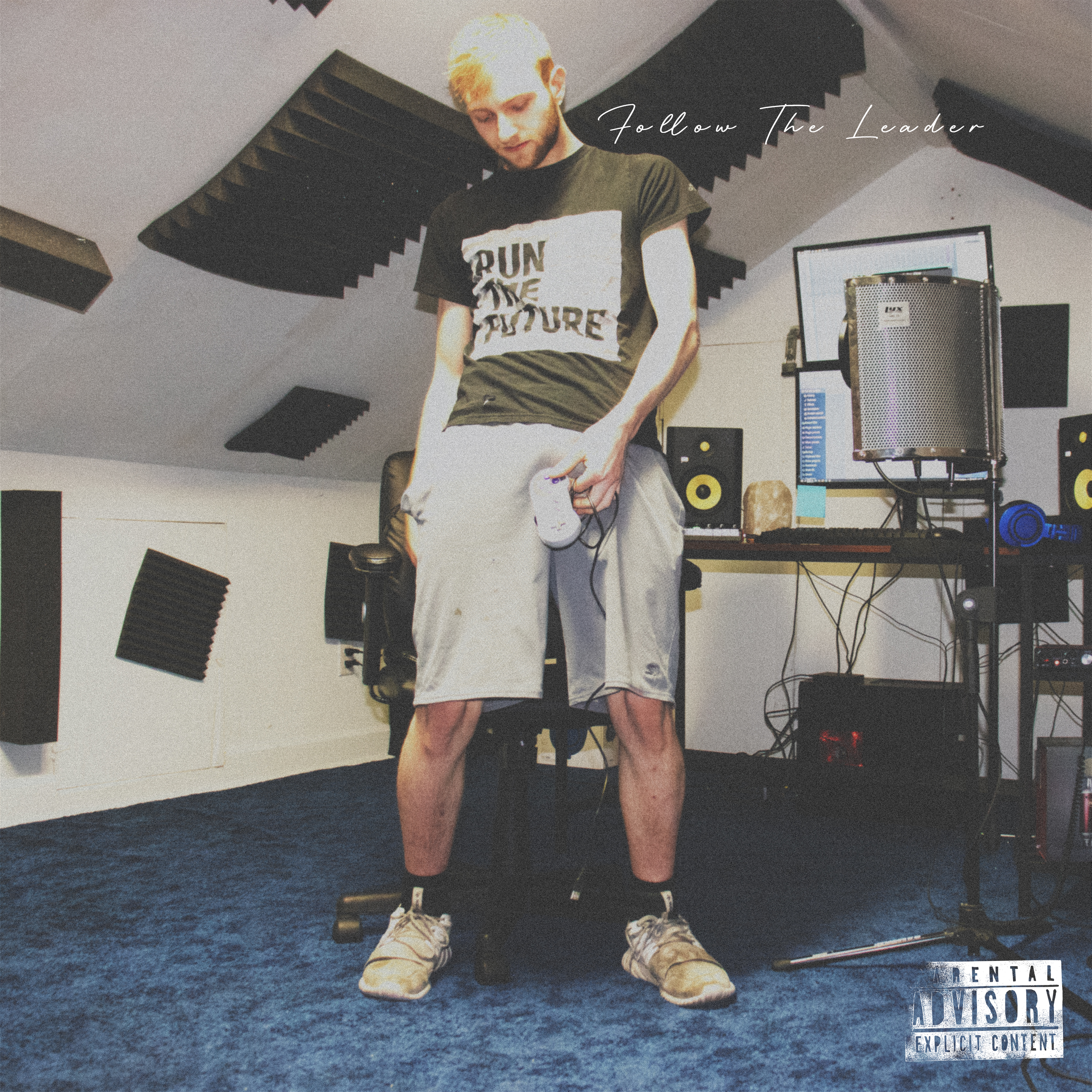 Follow The Leader artwork