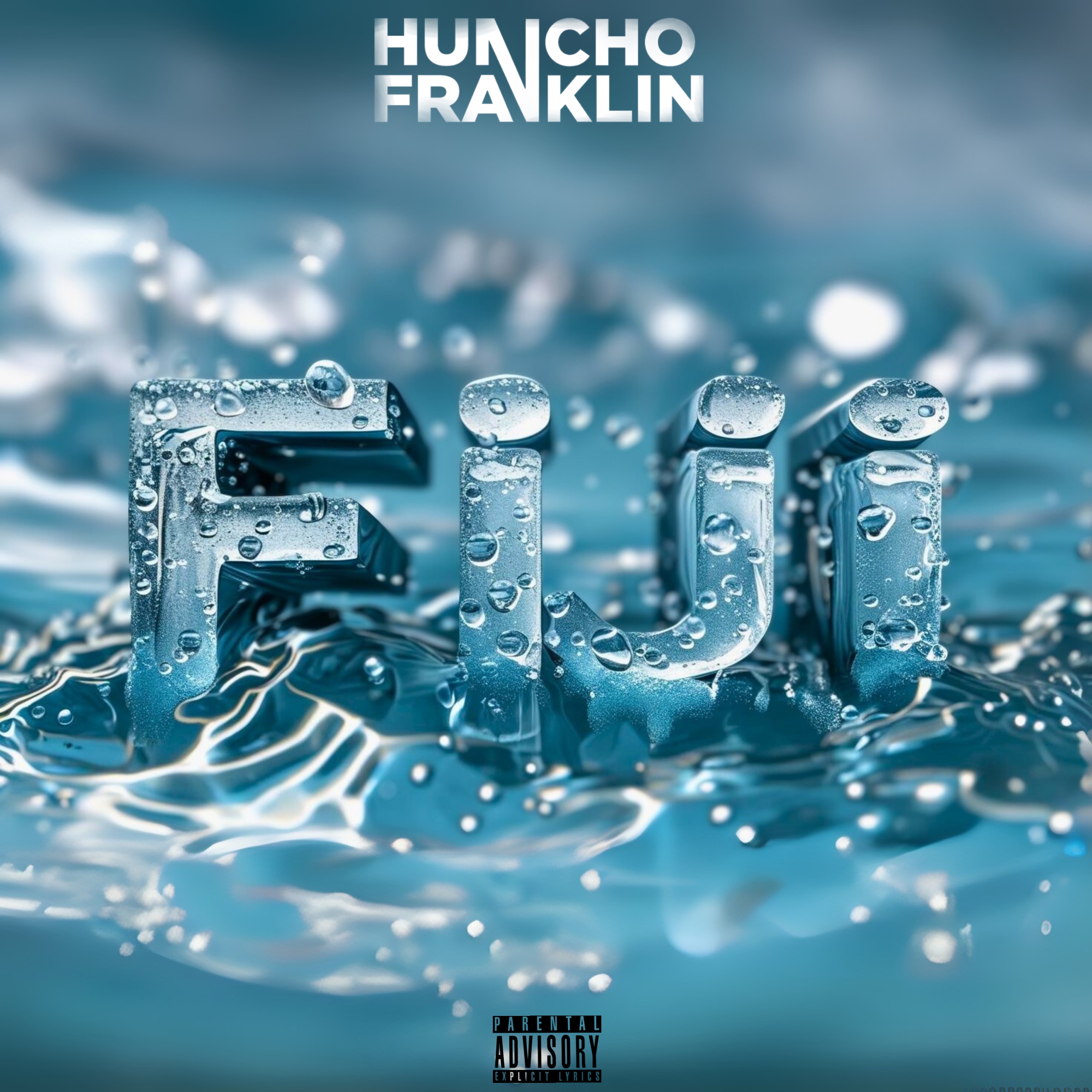 Fiji artwork