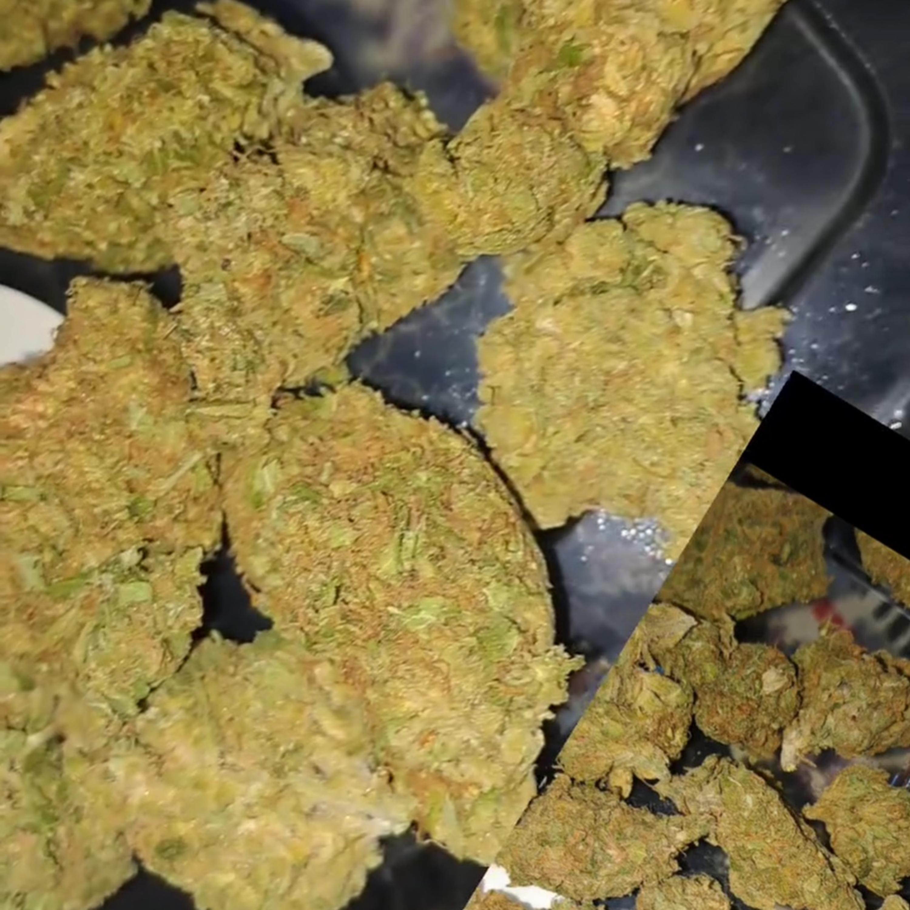 sativa artwork