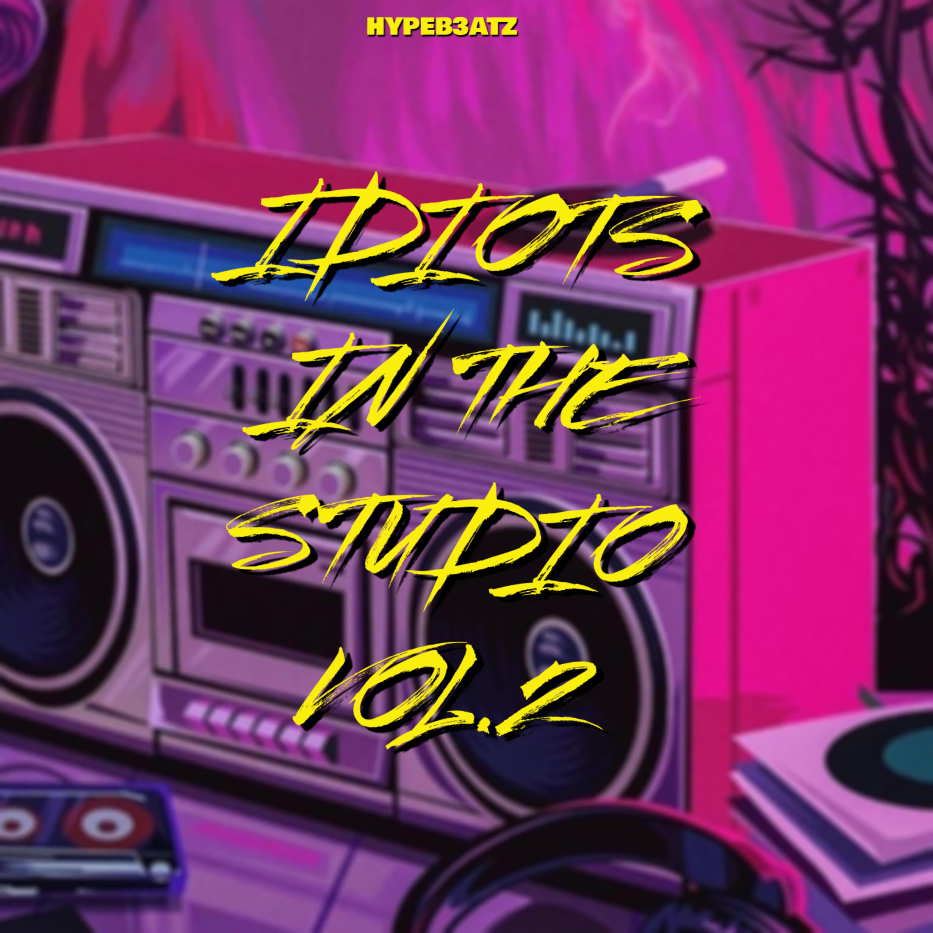 Idiots In The Studio Vol.2 artwork