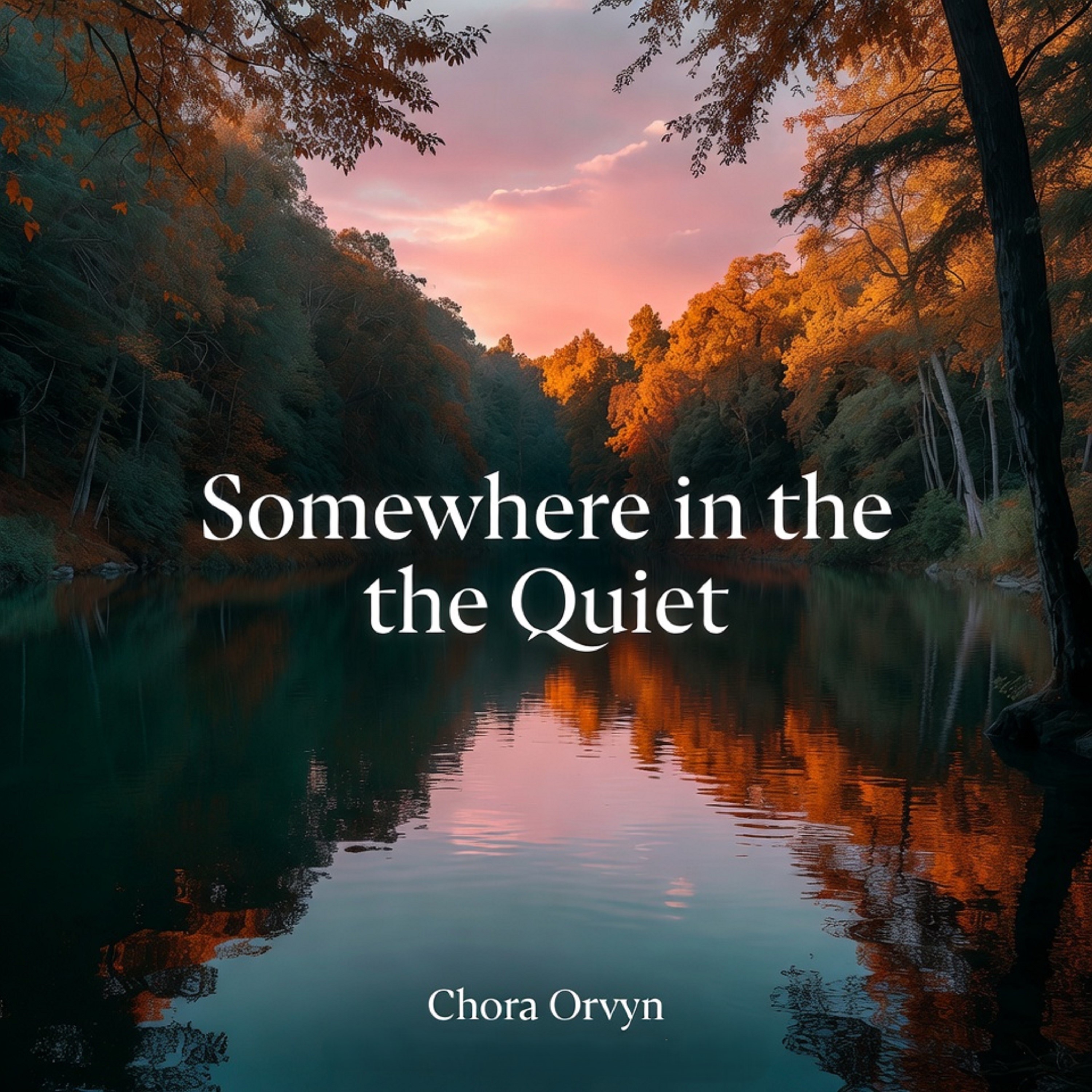 Somewhere in the Quiet artwork