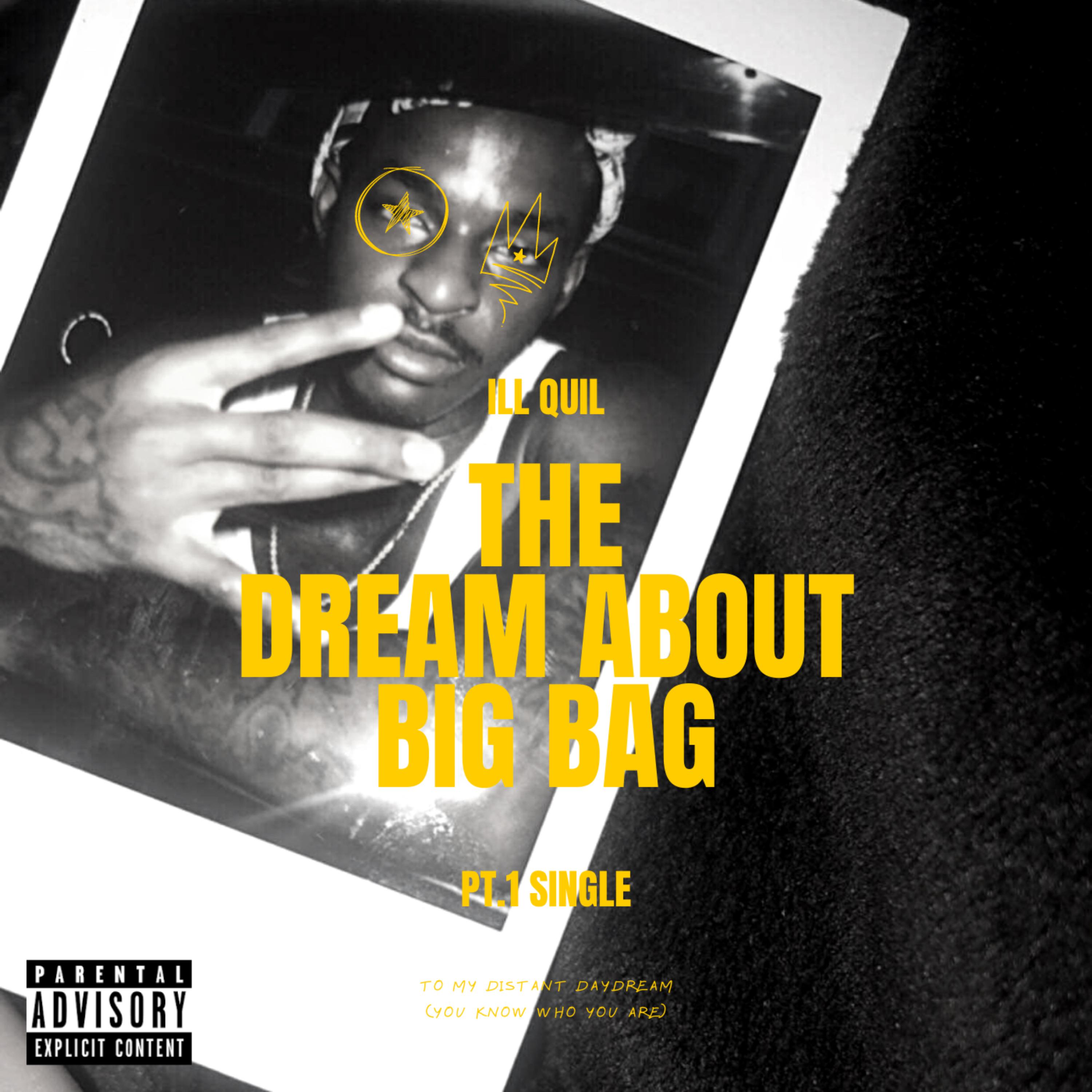The Dream About The BiG BAG artwork