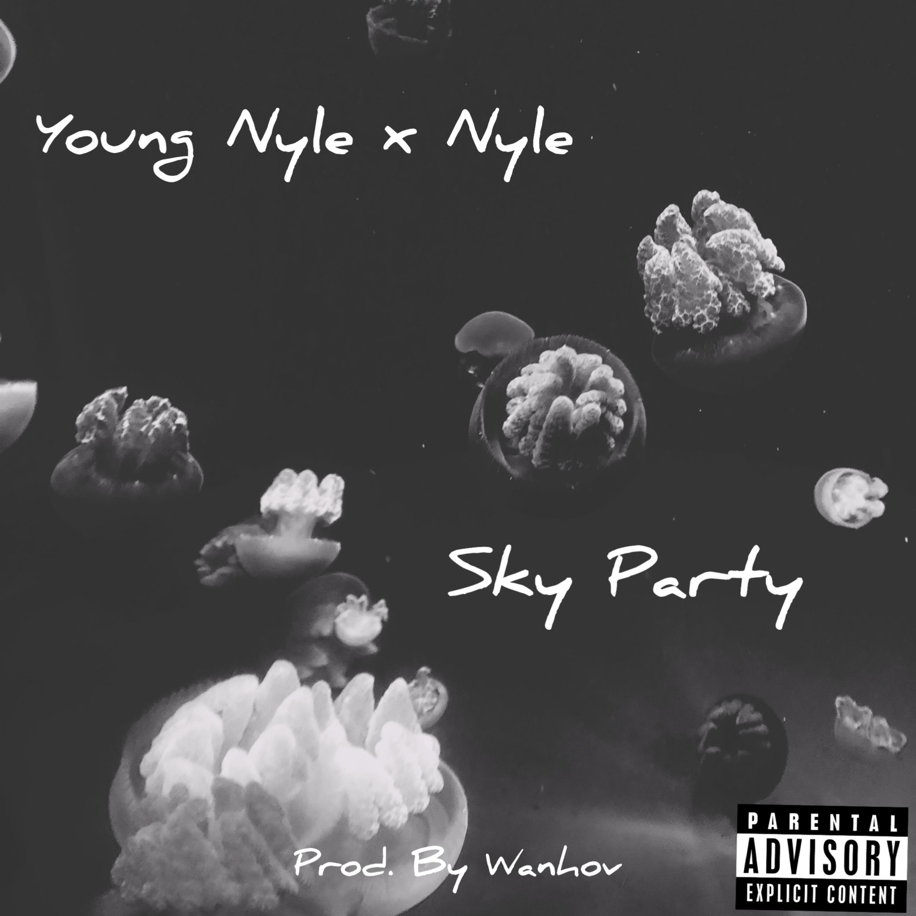 Sky Party V2 artwork