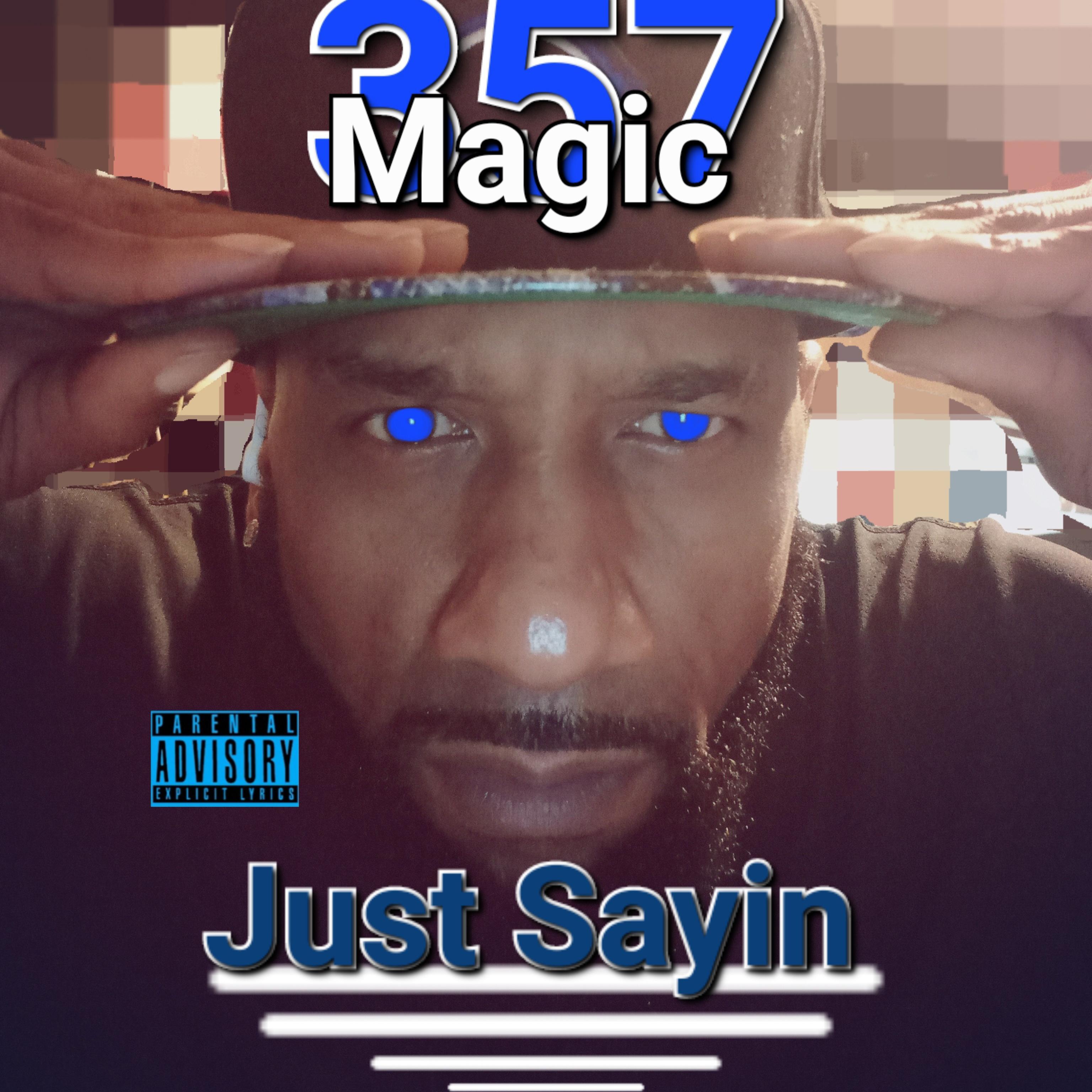 Just Sayin artwork