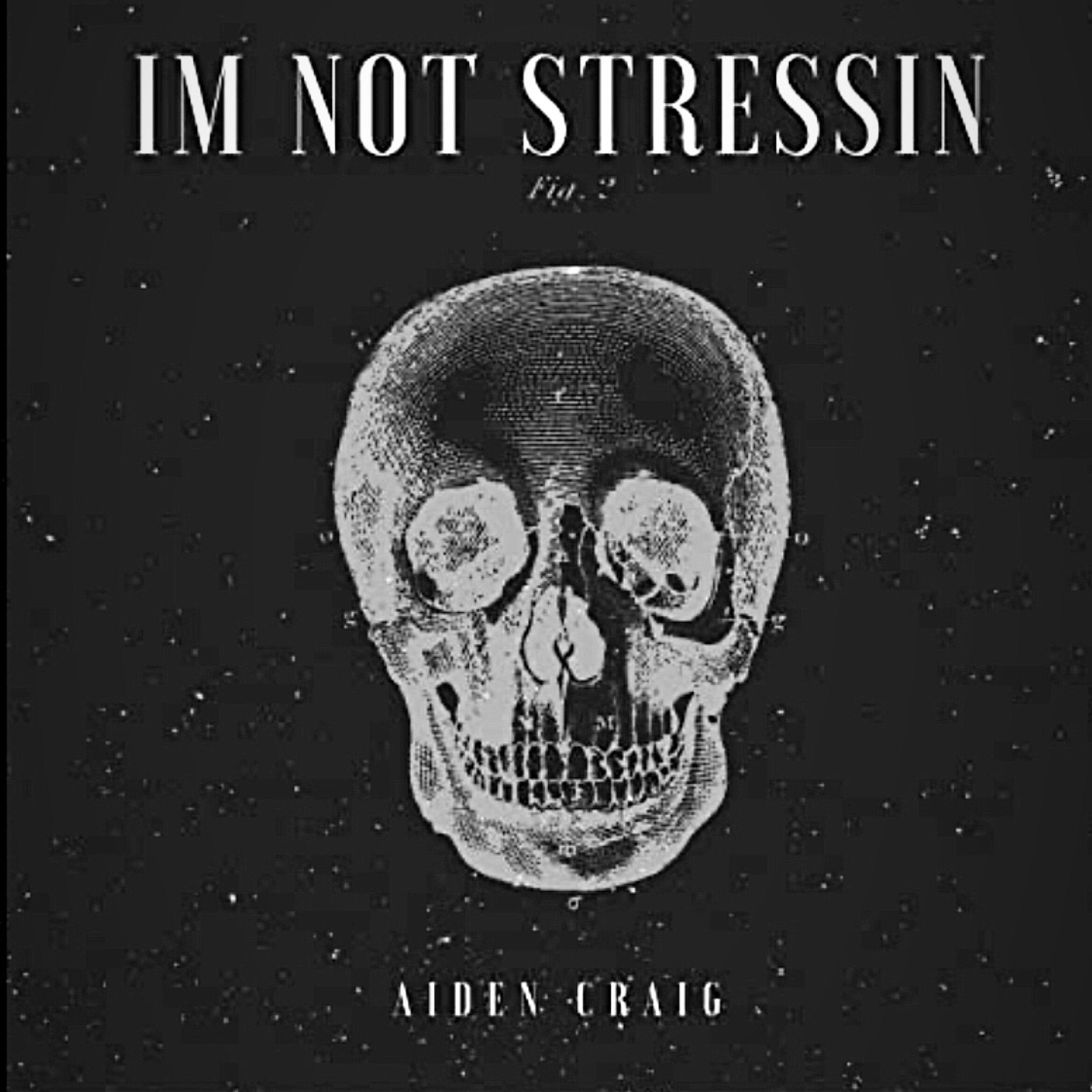 Ain Stressin' artwork