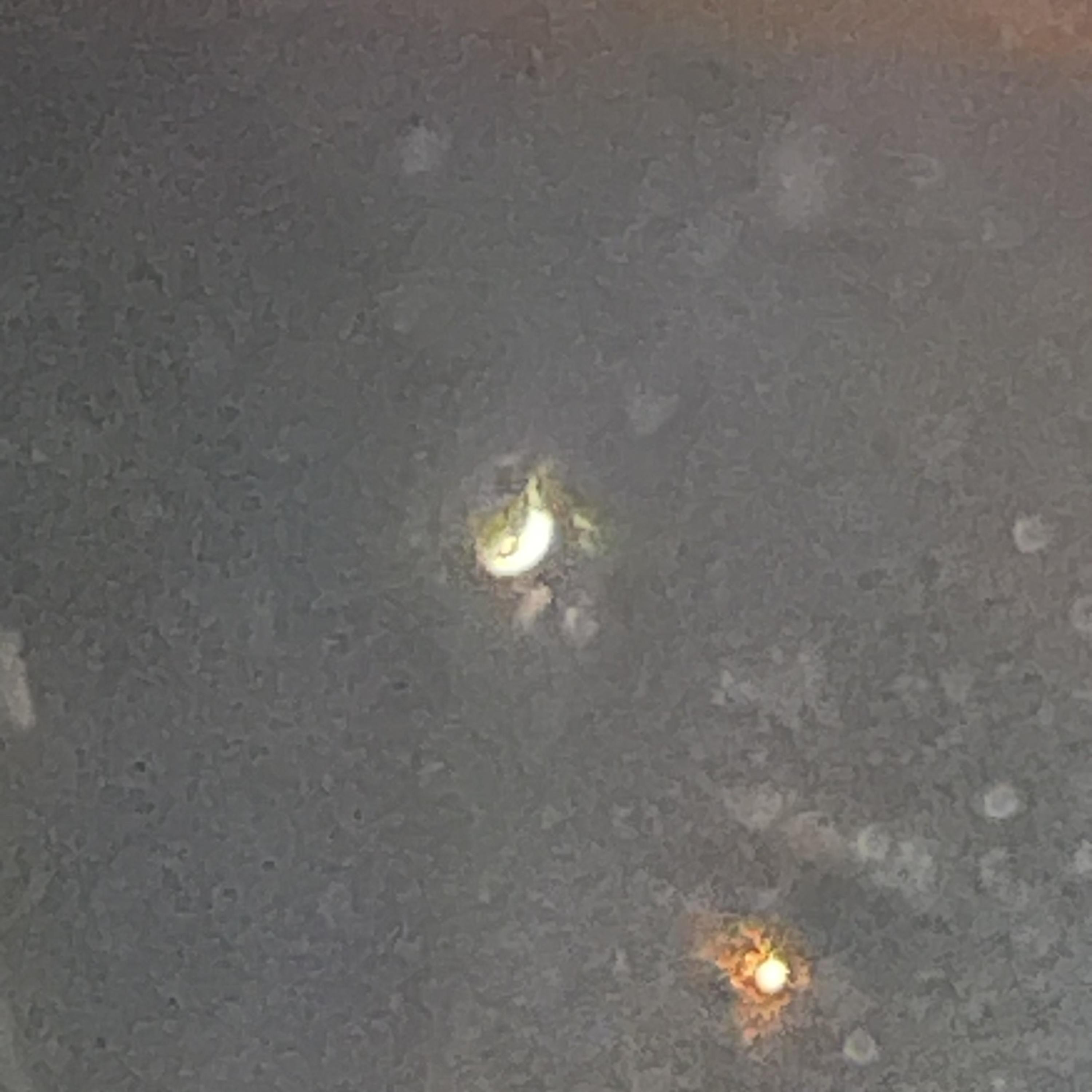 Point of View artwork