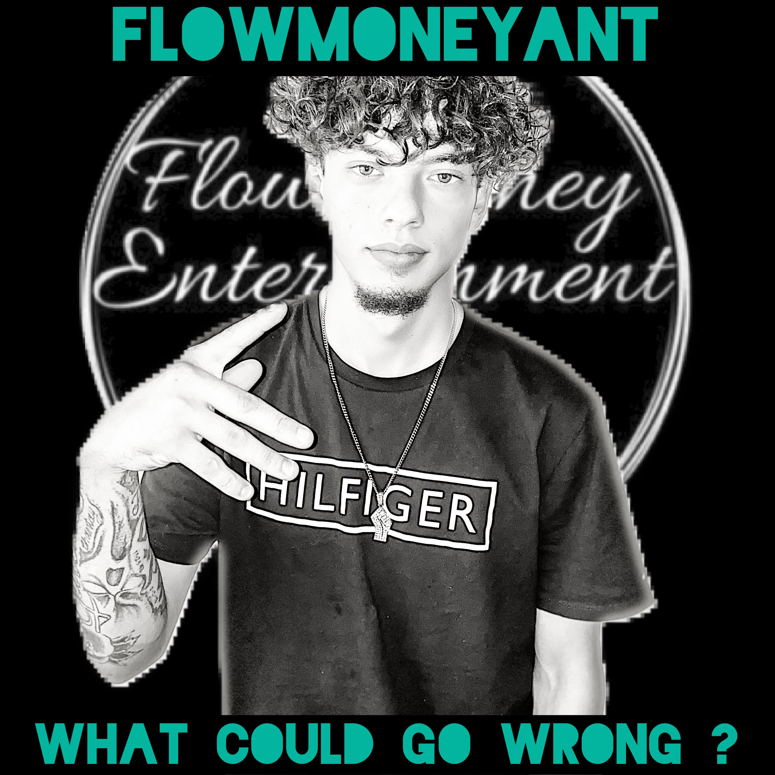 What could go wrong ? artwork