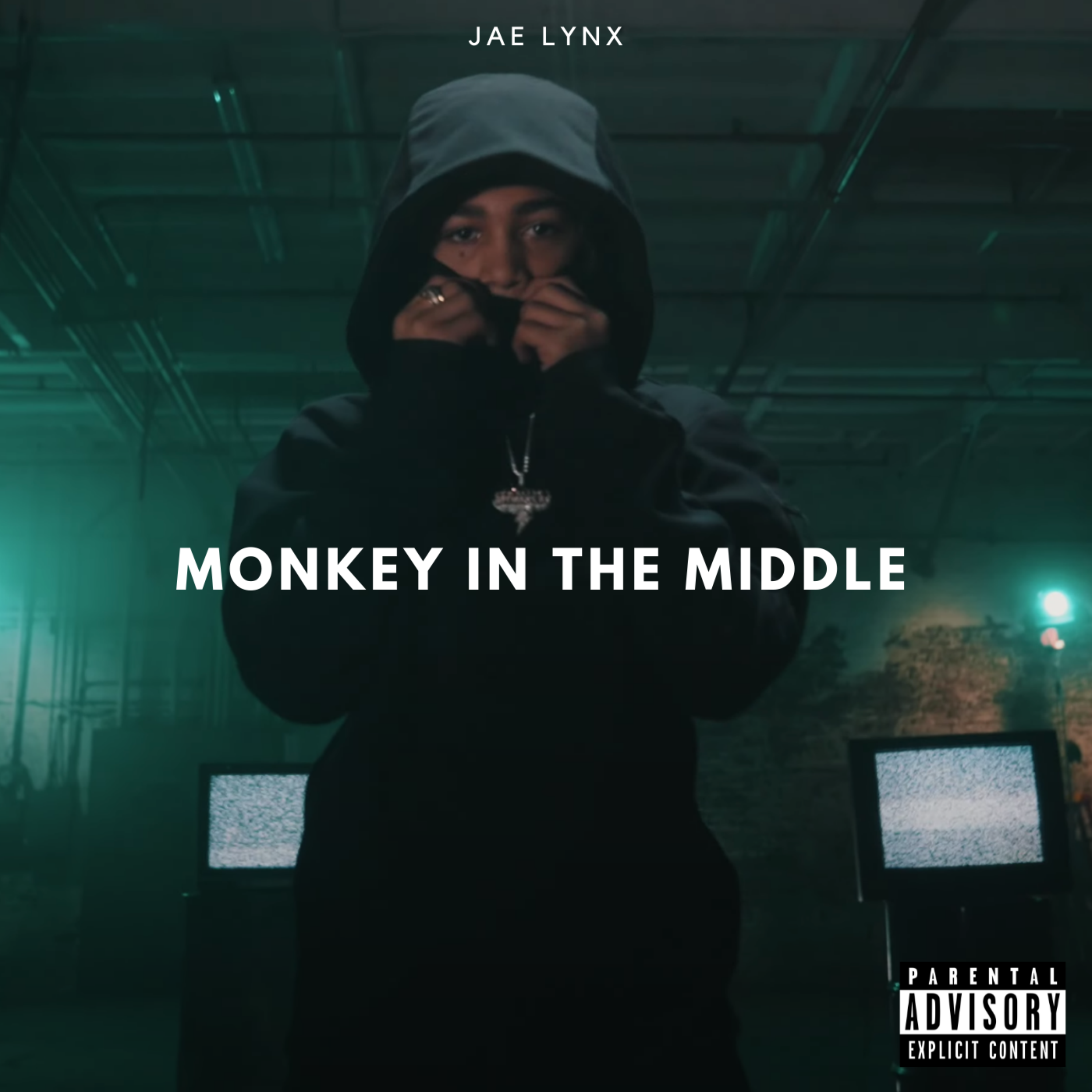 Monkey In The Middle artwork
