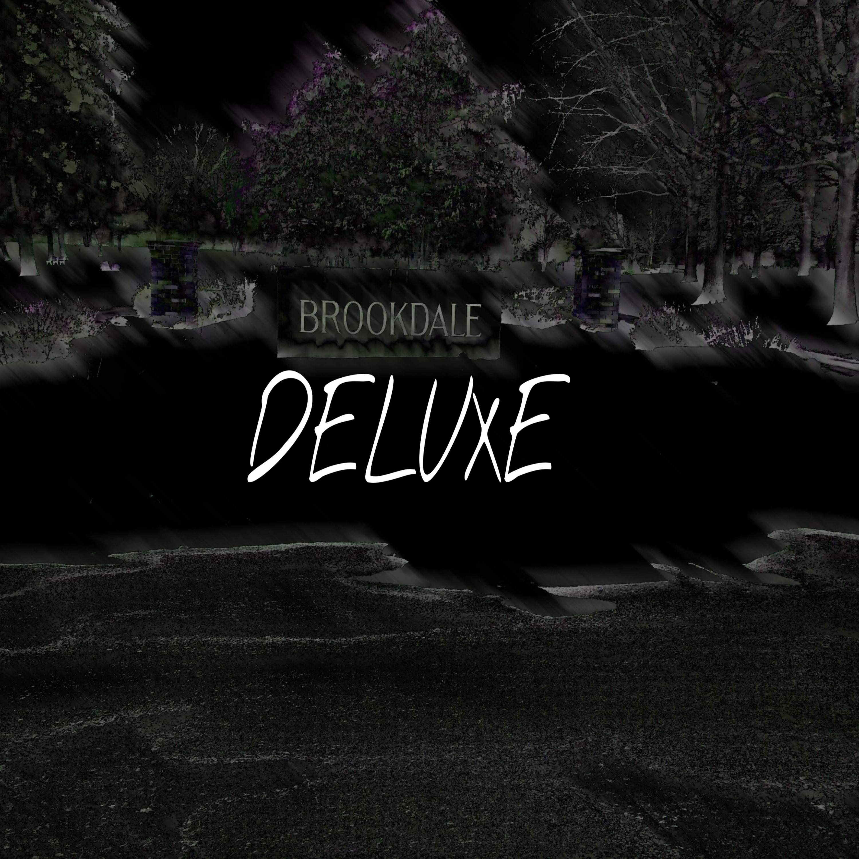 BROOKDALE DELUXE artwork
