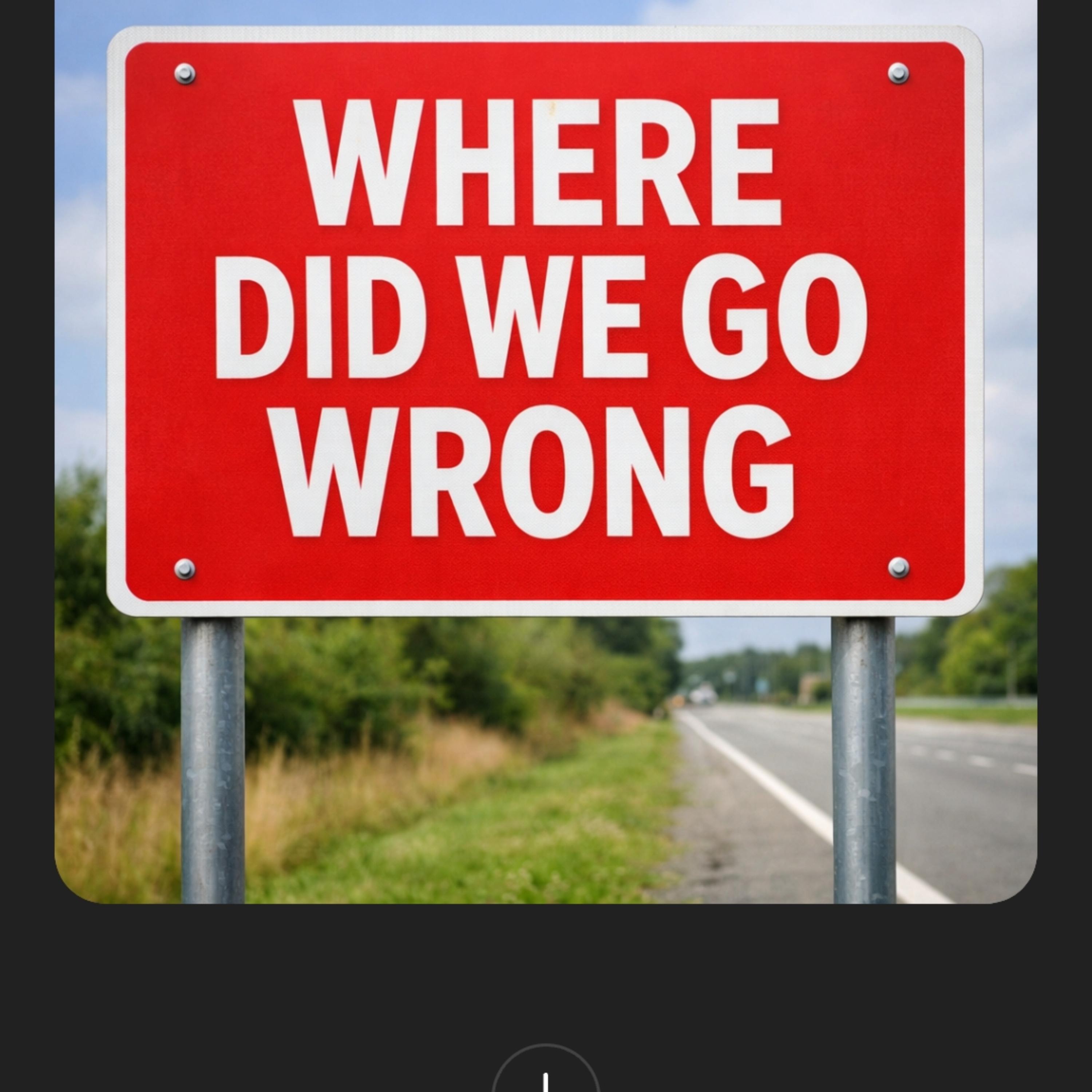 WHERE DID WE GO WRONG artwork