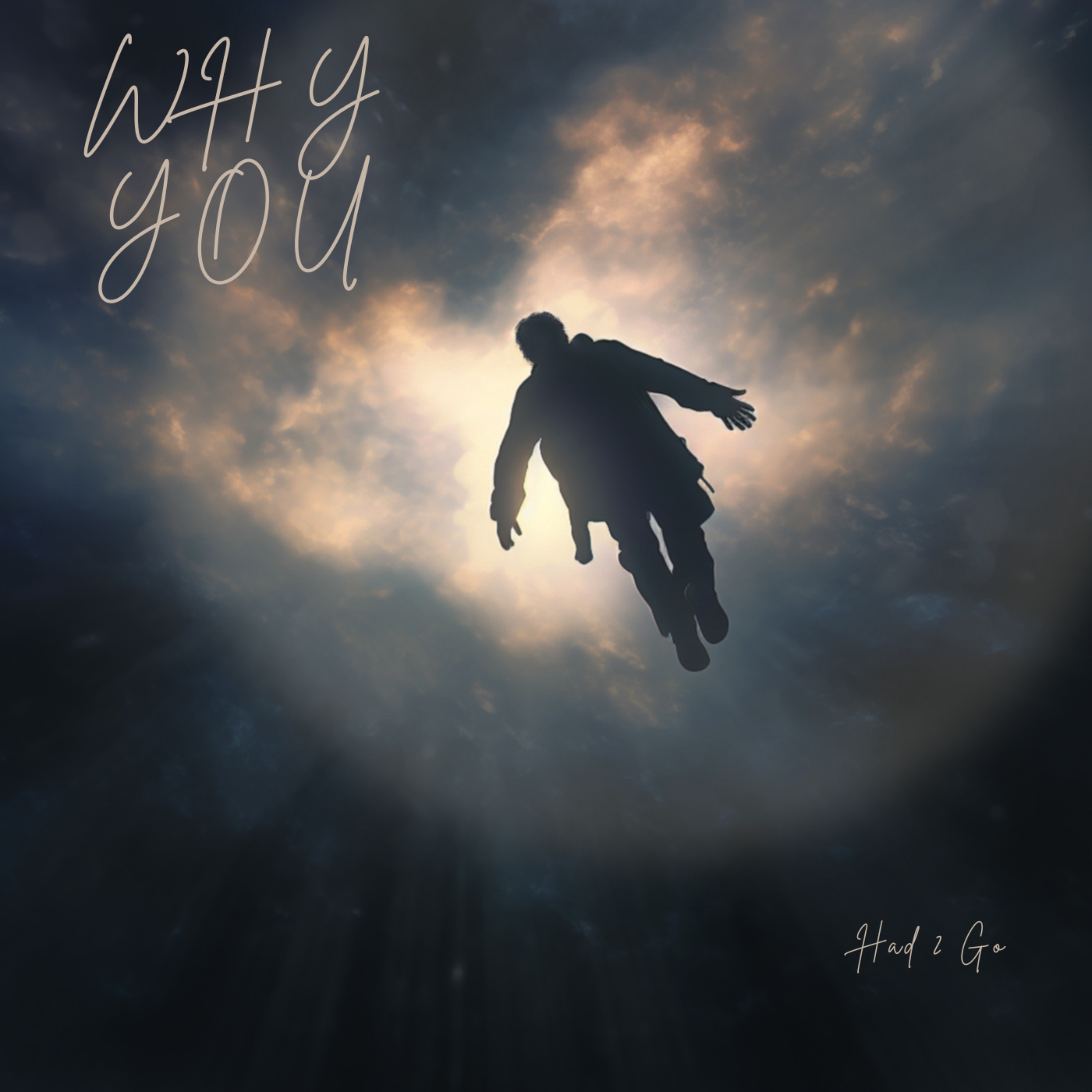 Why You Had 2 Go artwork