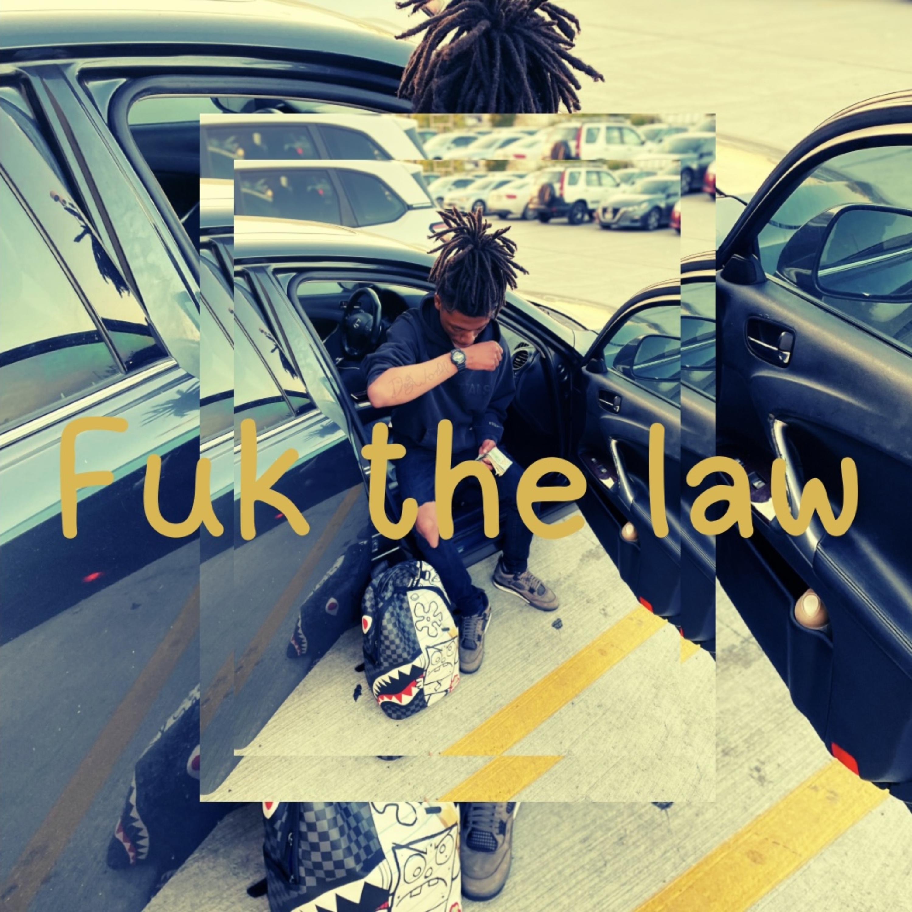Fuk the law artwork