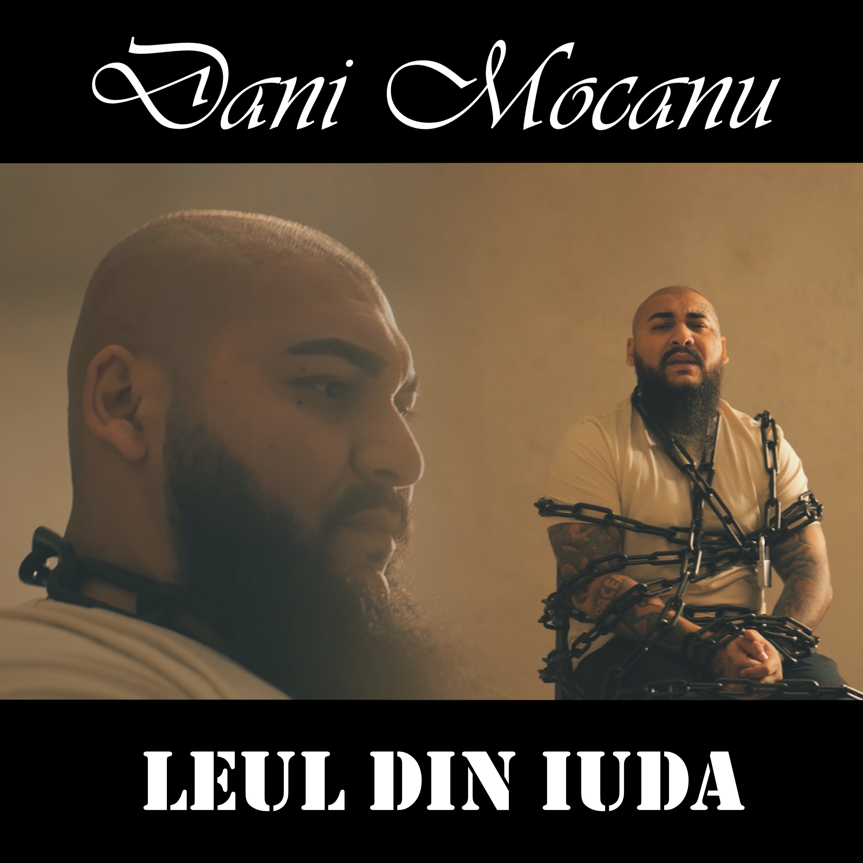 Leul din Iuda artwork