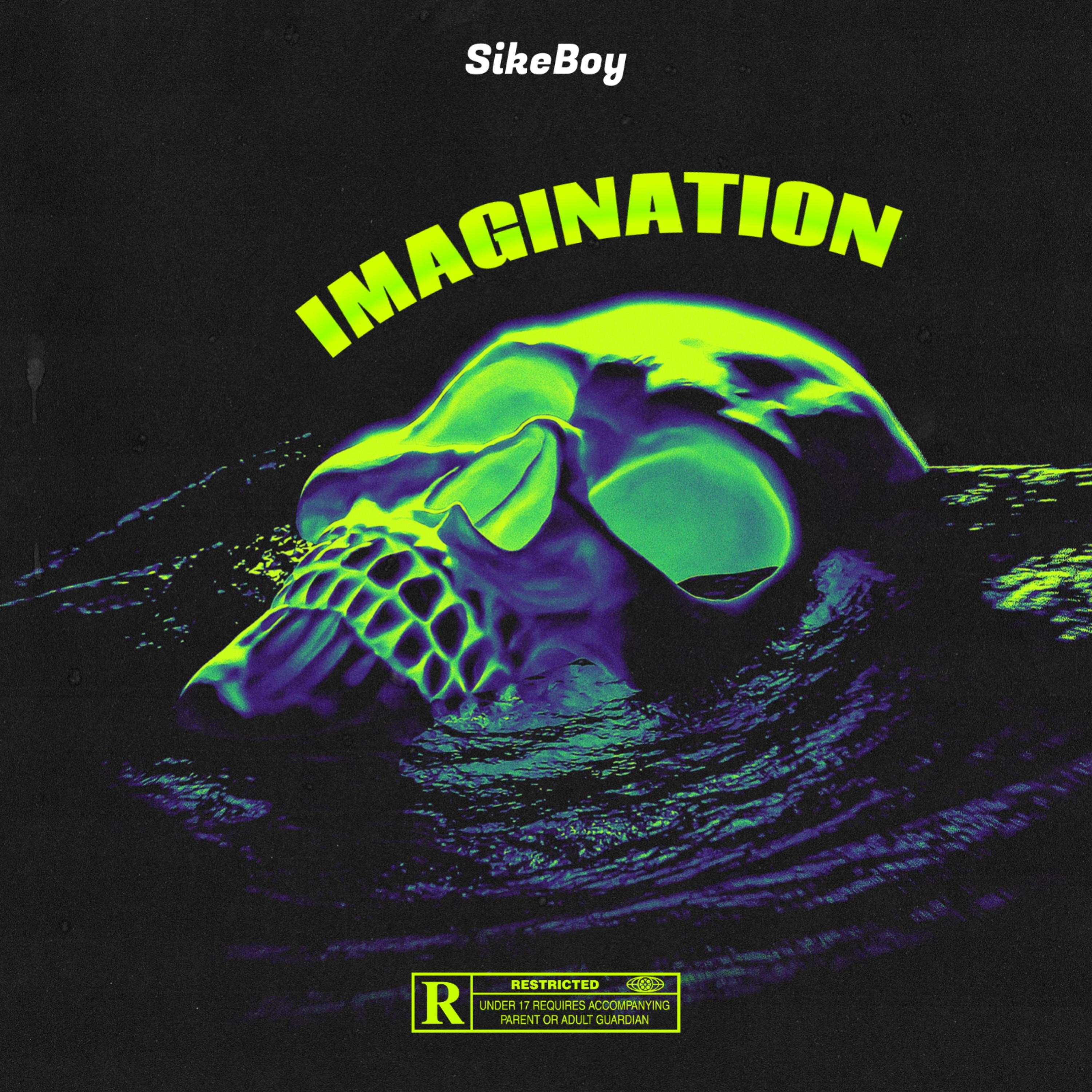 IMAGINATION artwork
