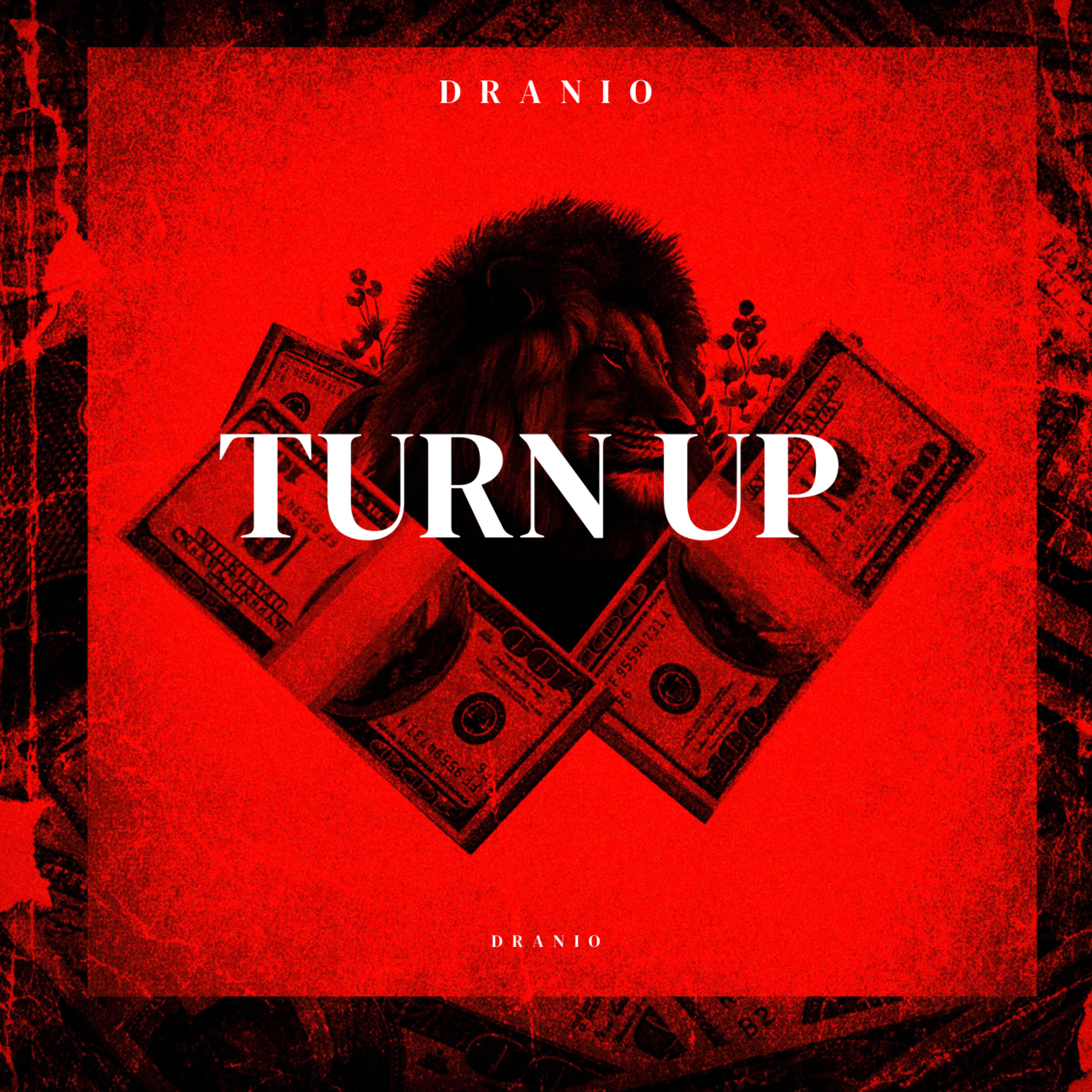 Turn Up by Dranio cover art