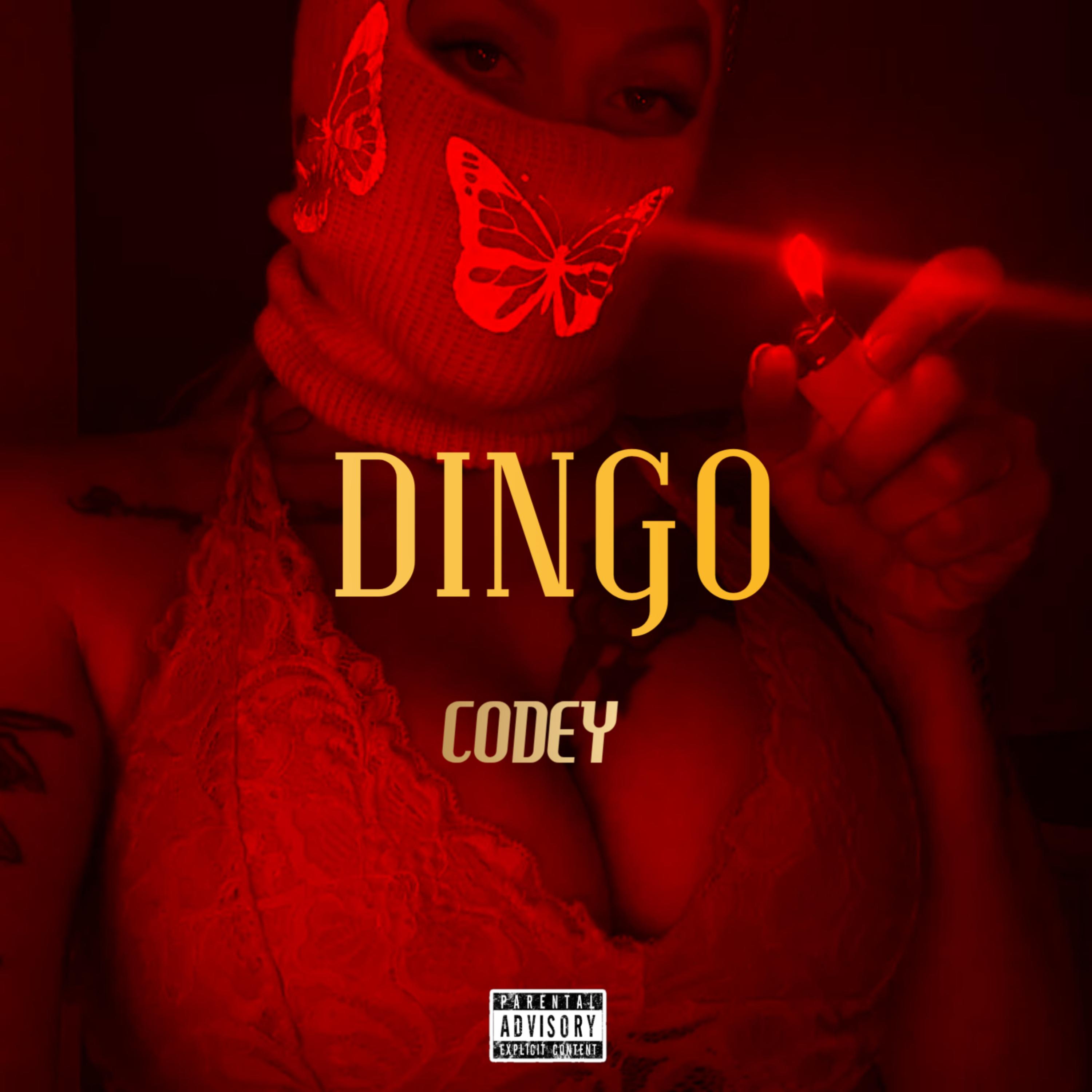 DINGO by Codey cover art