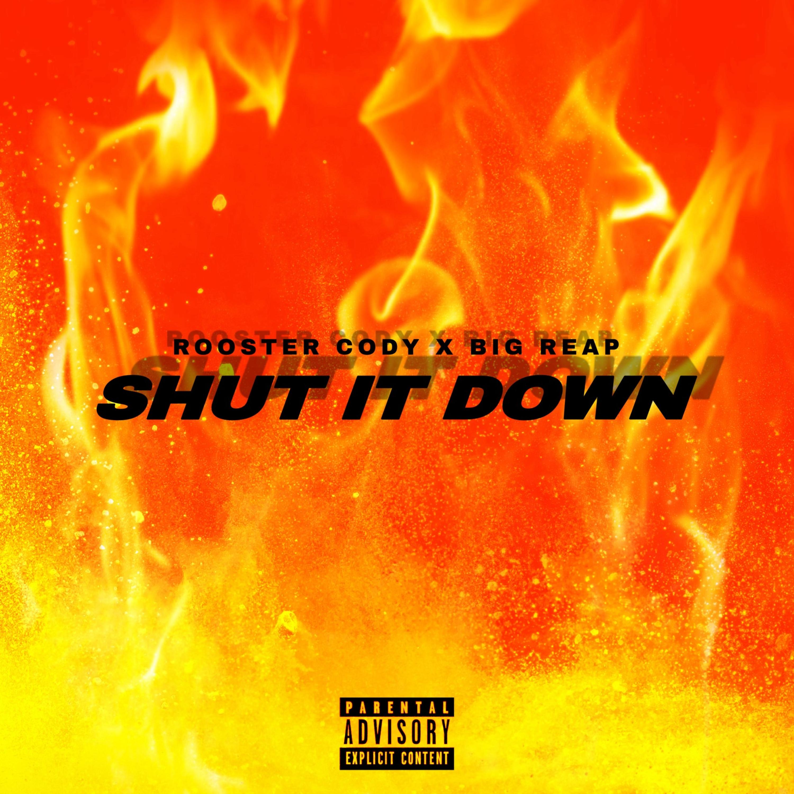Shut It Down artwork