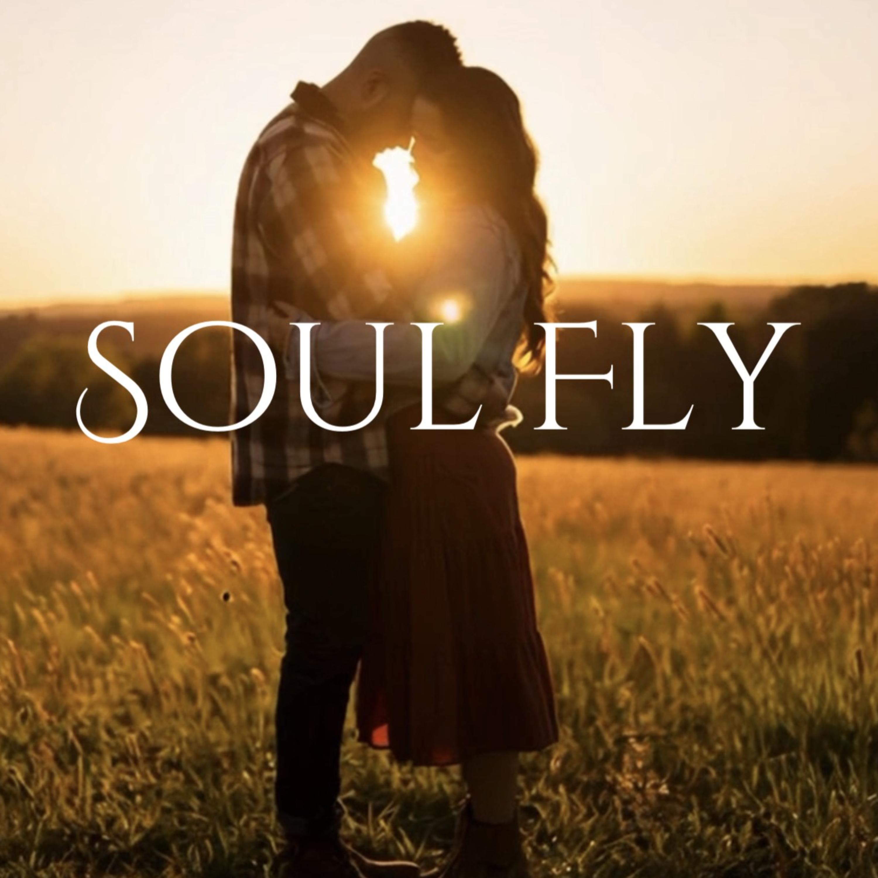 SOUL FLY artwork