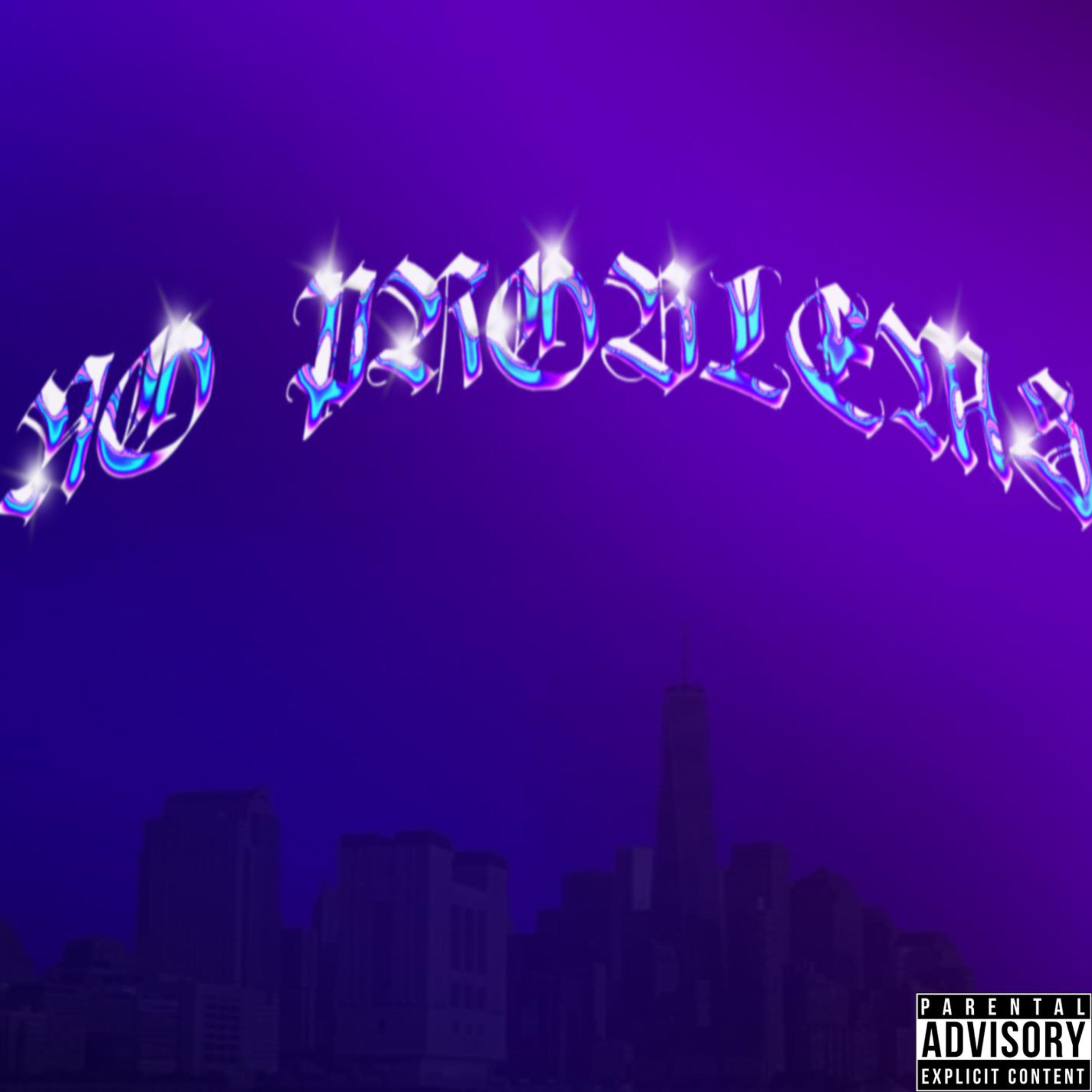 No problems artwork