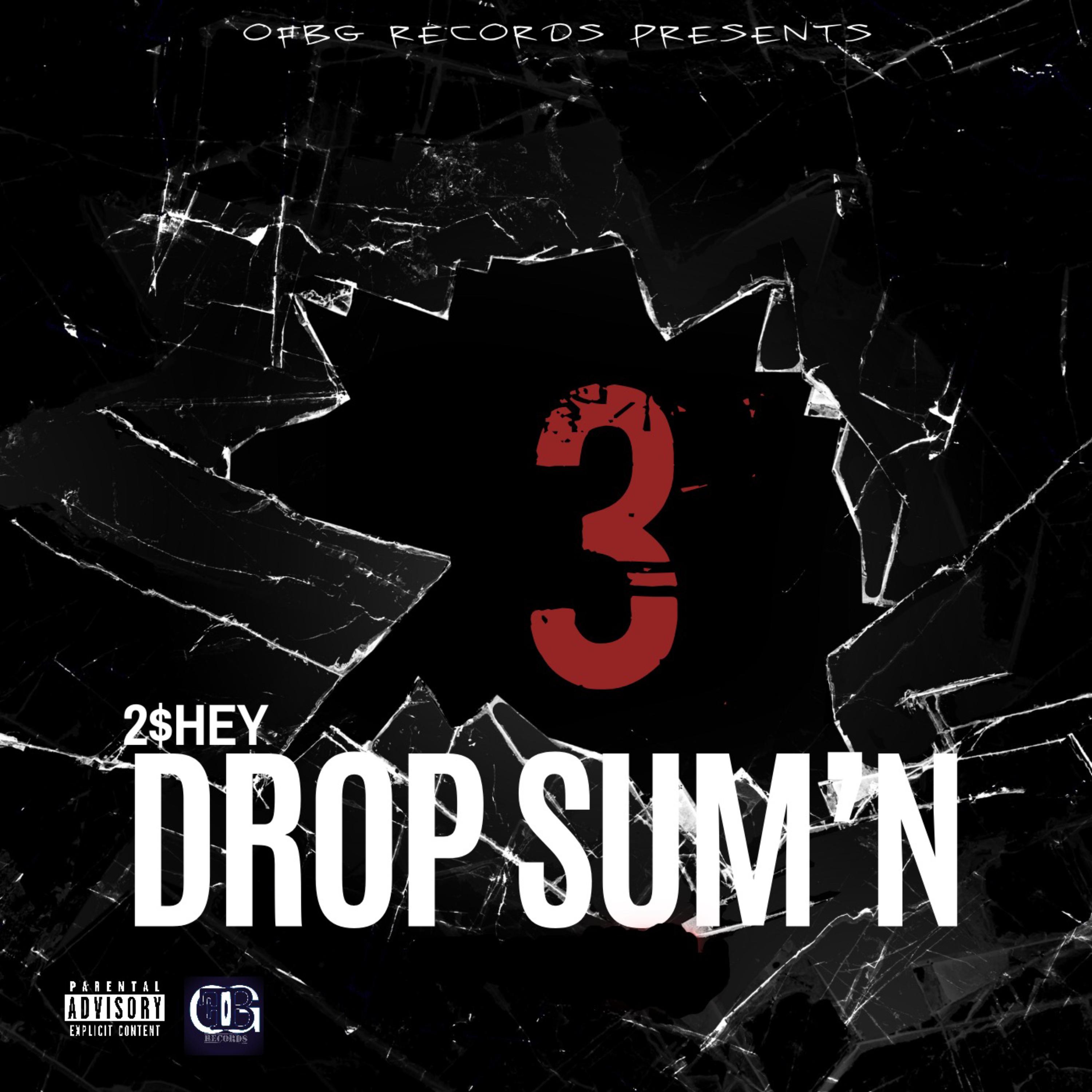 Drop Sum'n 3 artwork