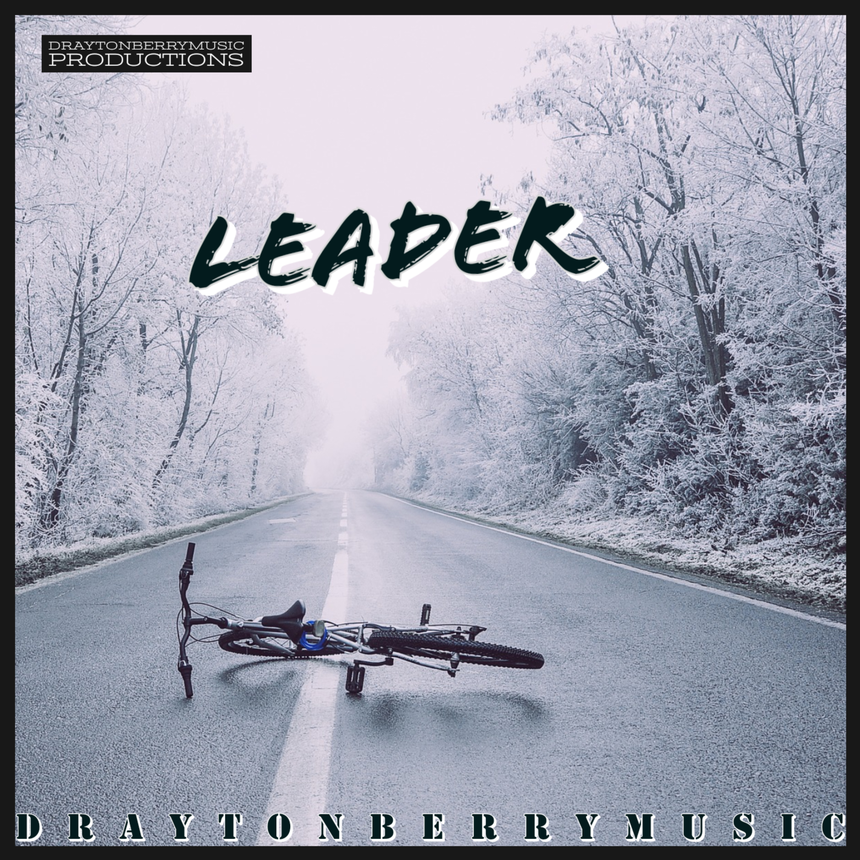 LEADER artwork