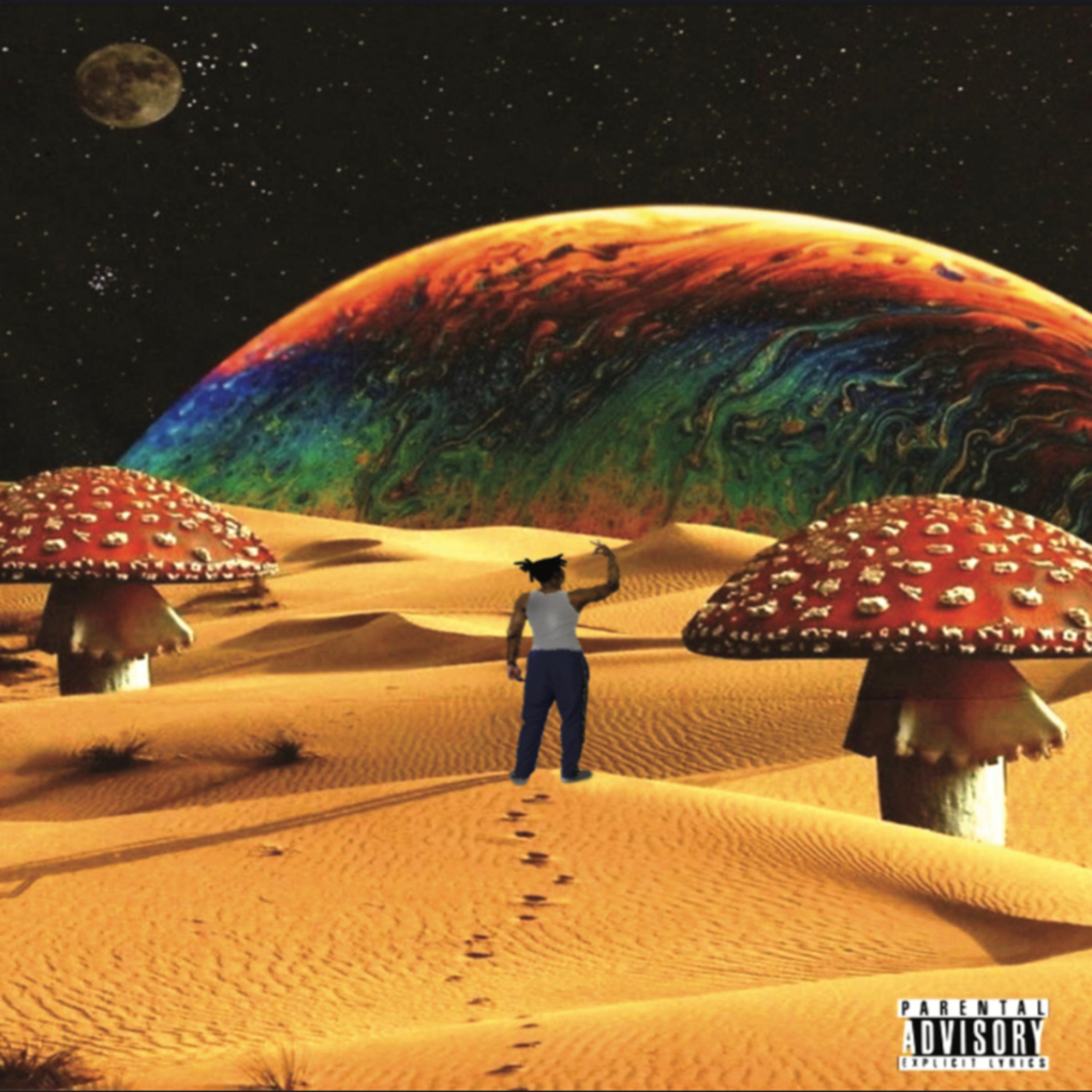 Taylor VOE Vol.1 artwork
