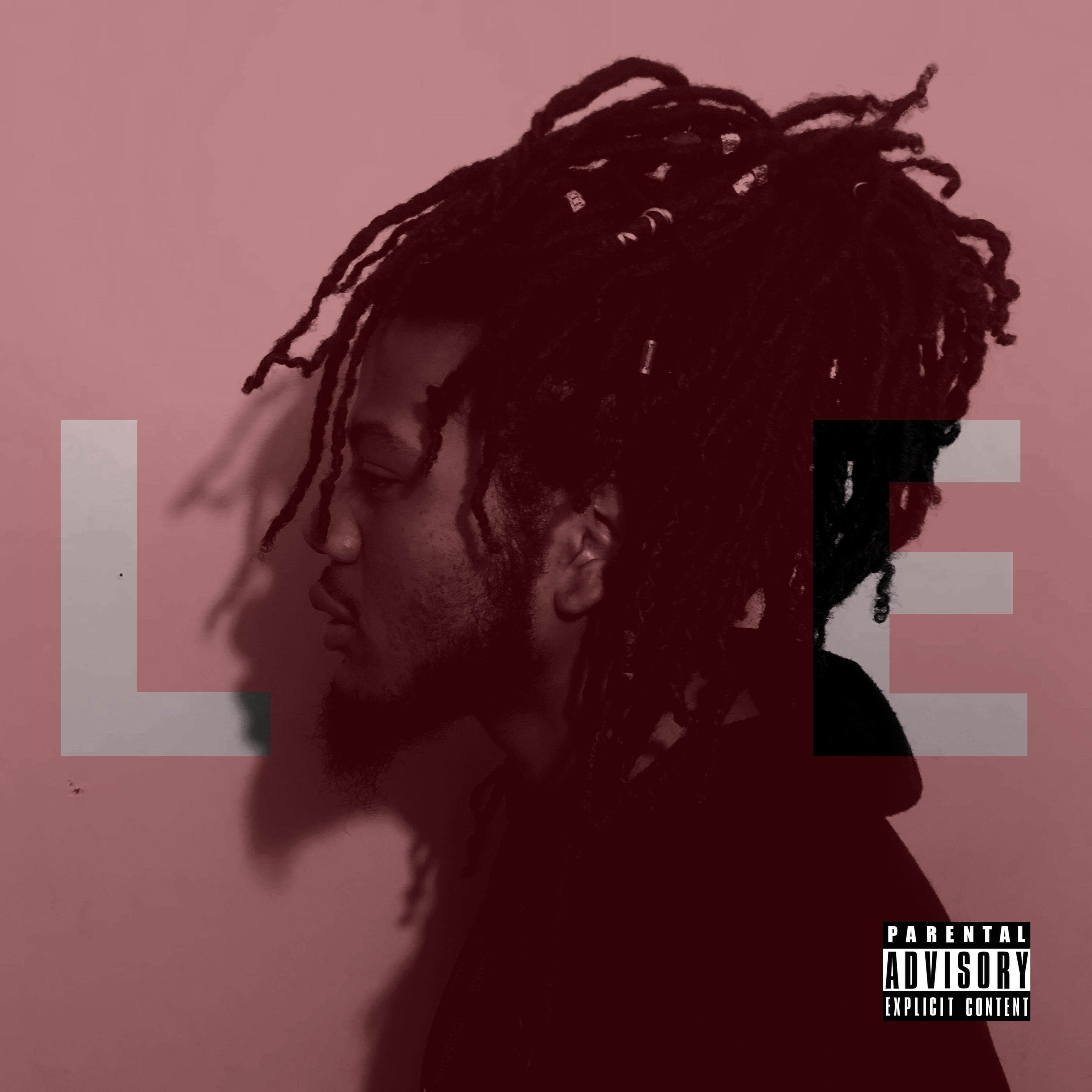 Lie artwork