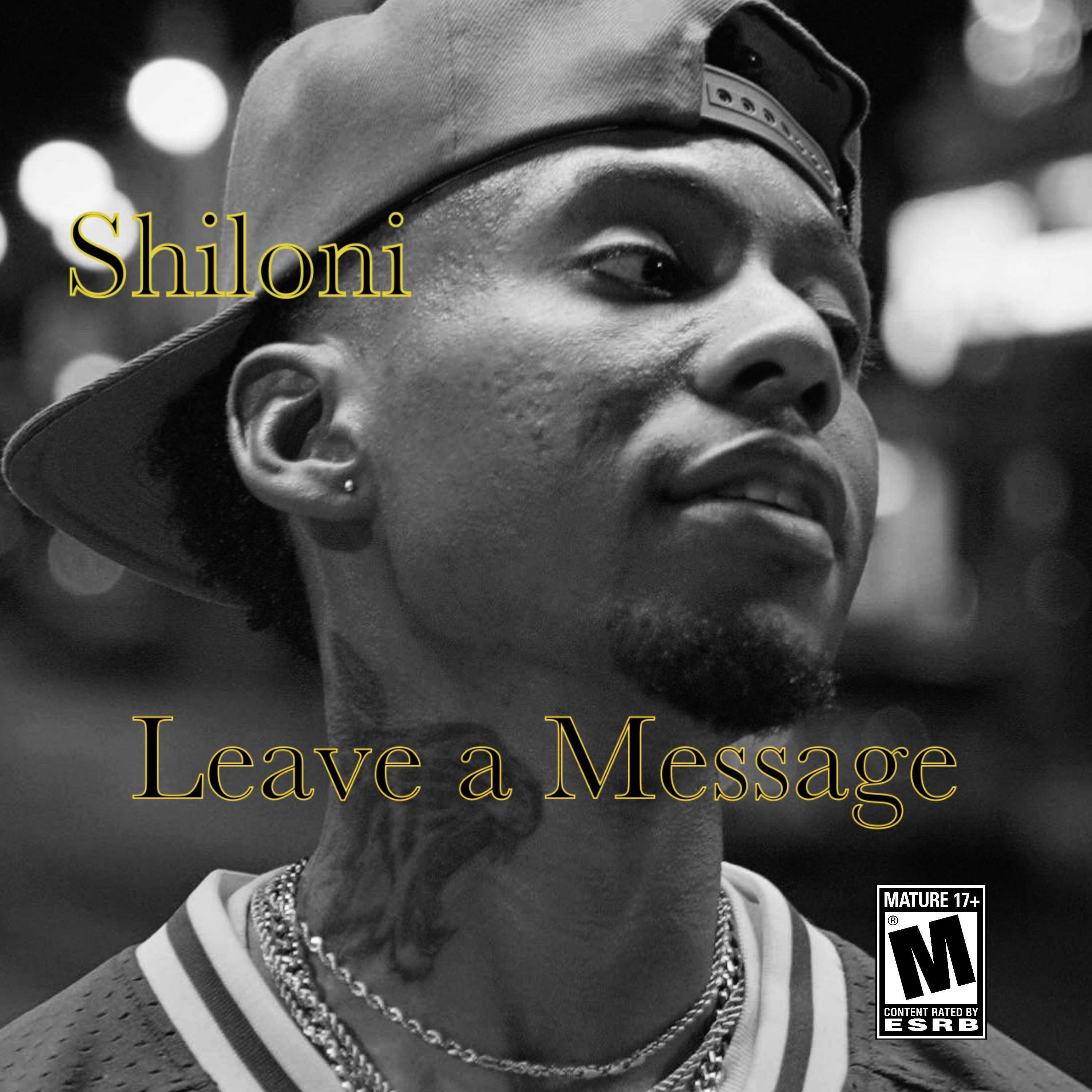 Leave a Message artwork