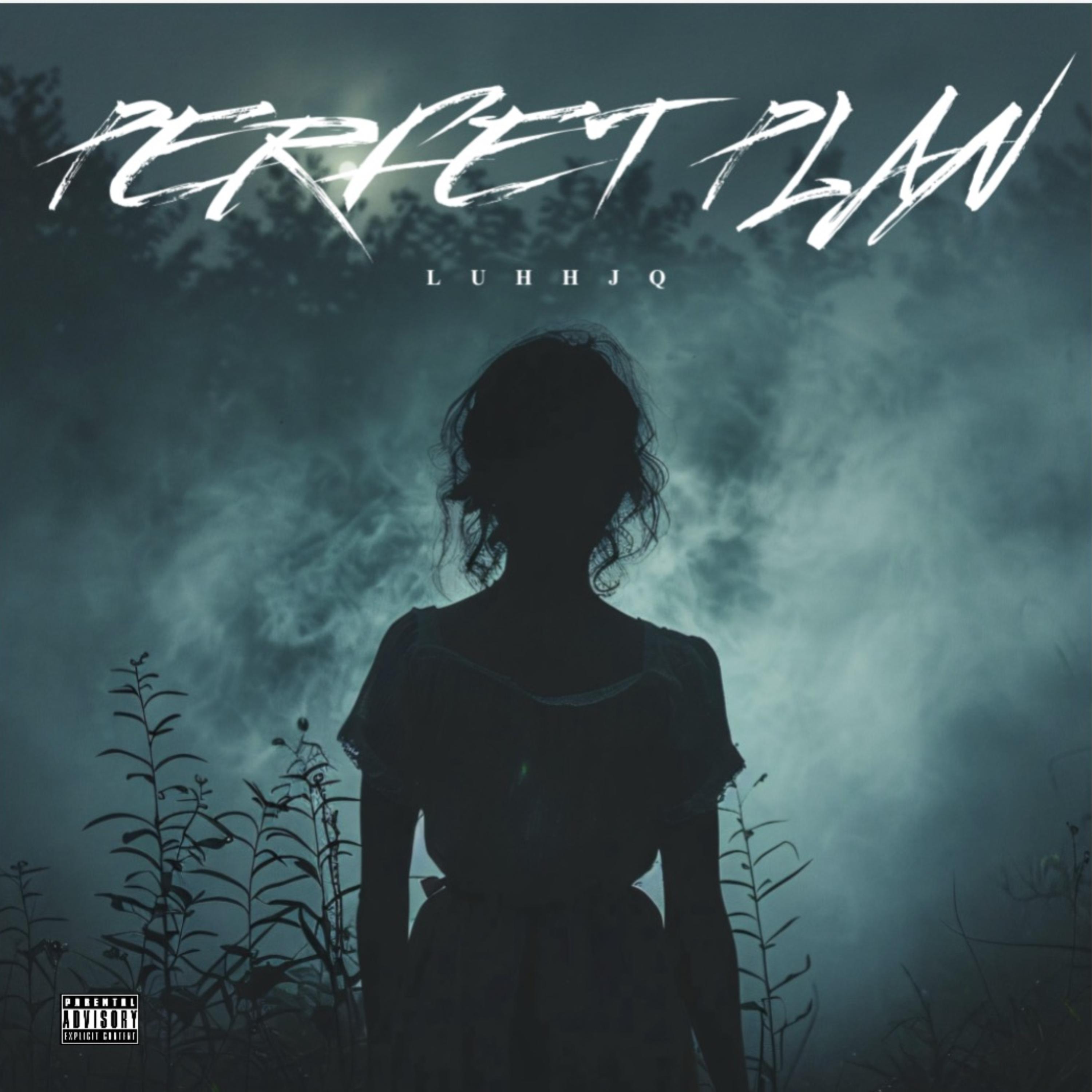 Perfect Plan artwork