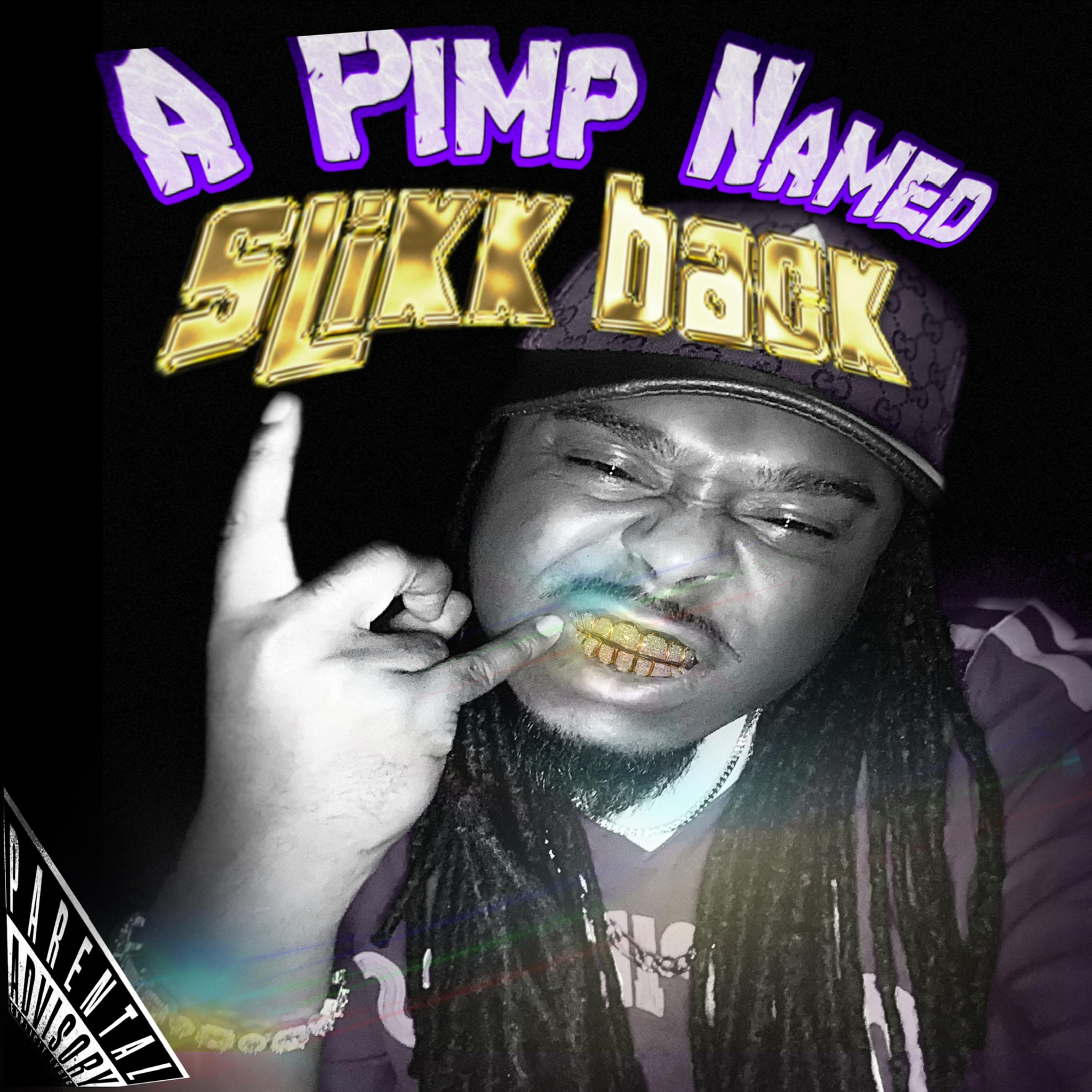 A Pimp Named Slikk Back artwork
