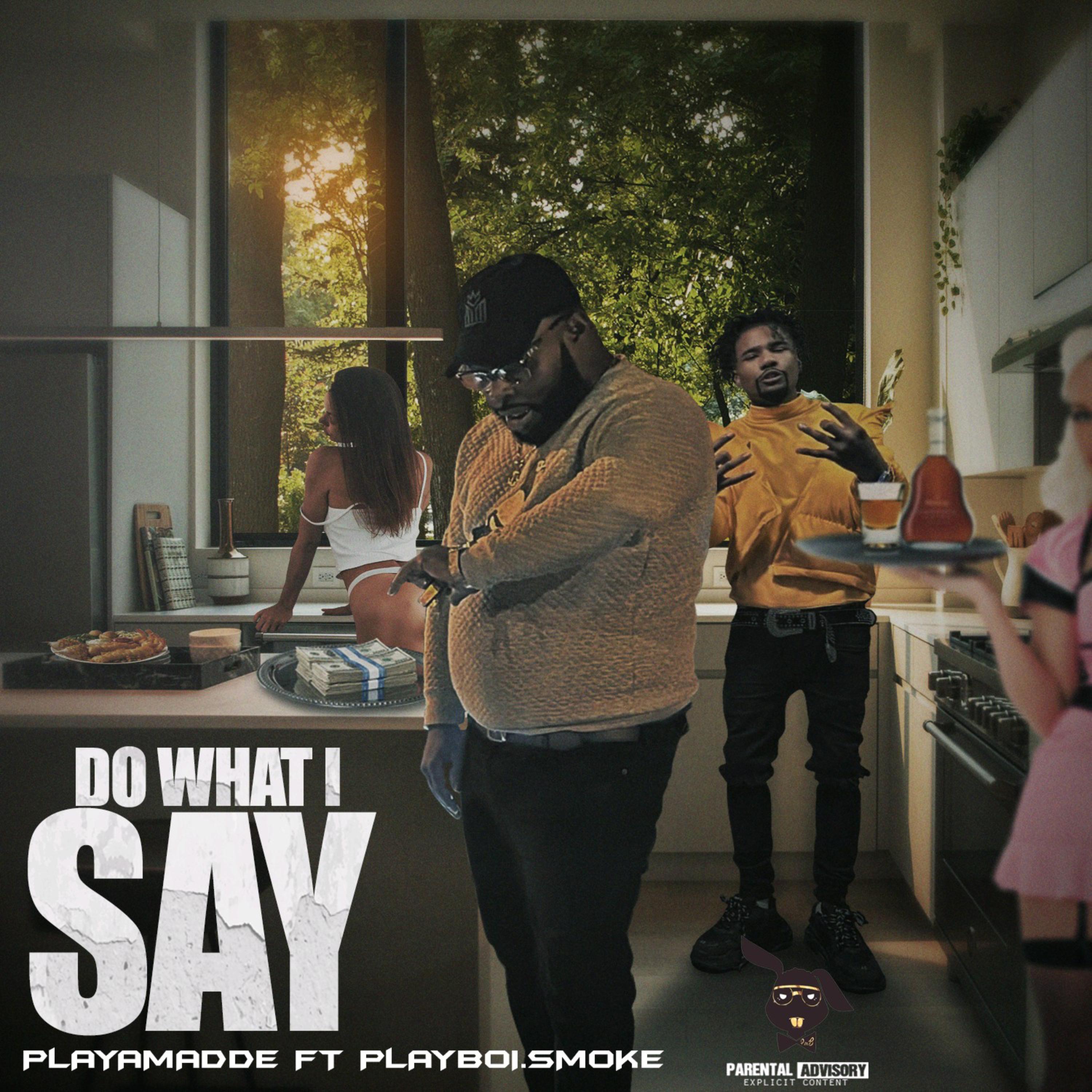 Do What I Say artwork