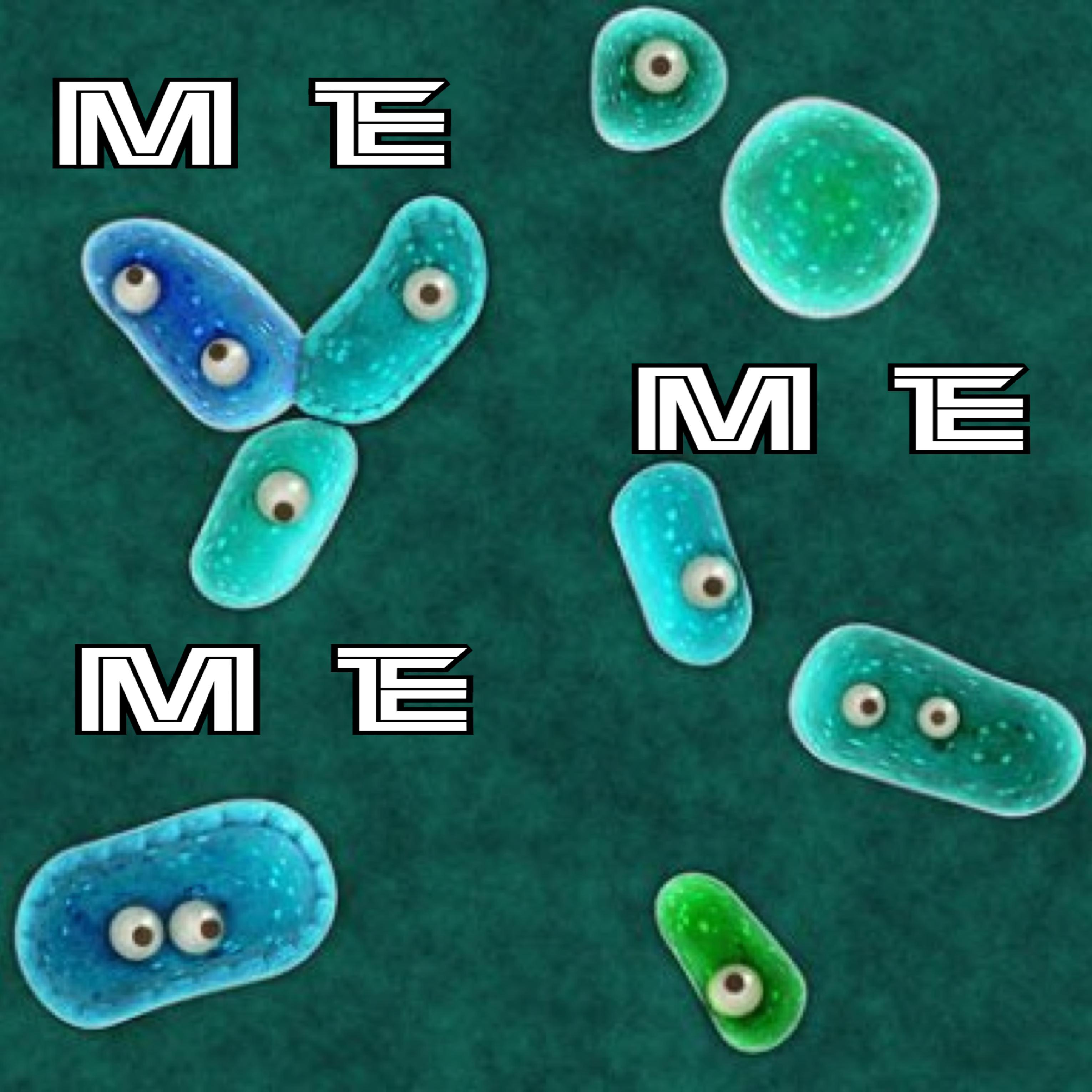 Me Me Me artwork