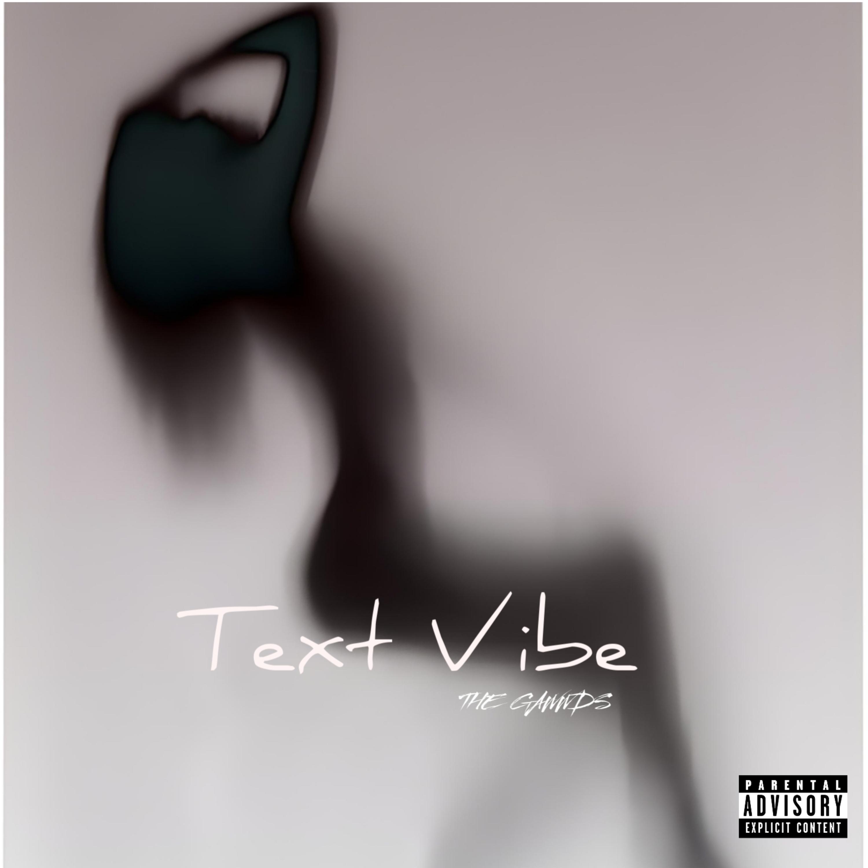 TEXT VIBE by THE GAWWDS cover art