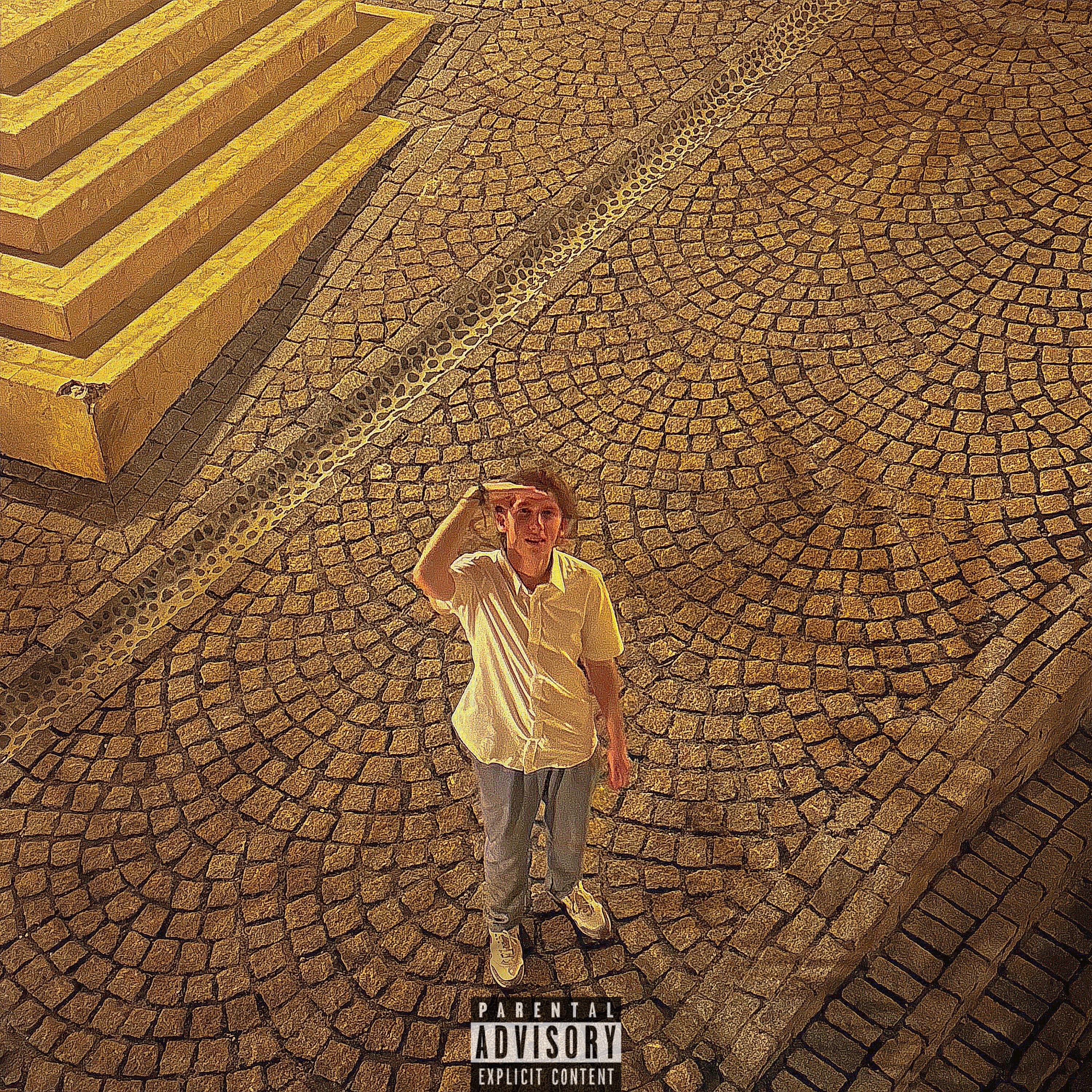 Introspection artwork