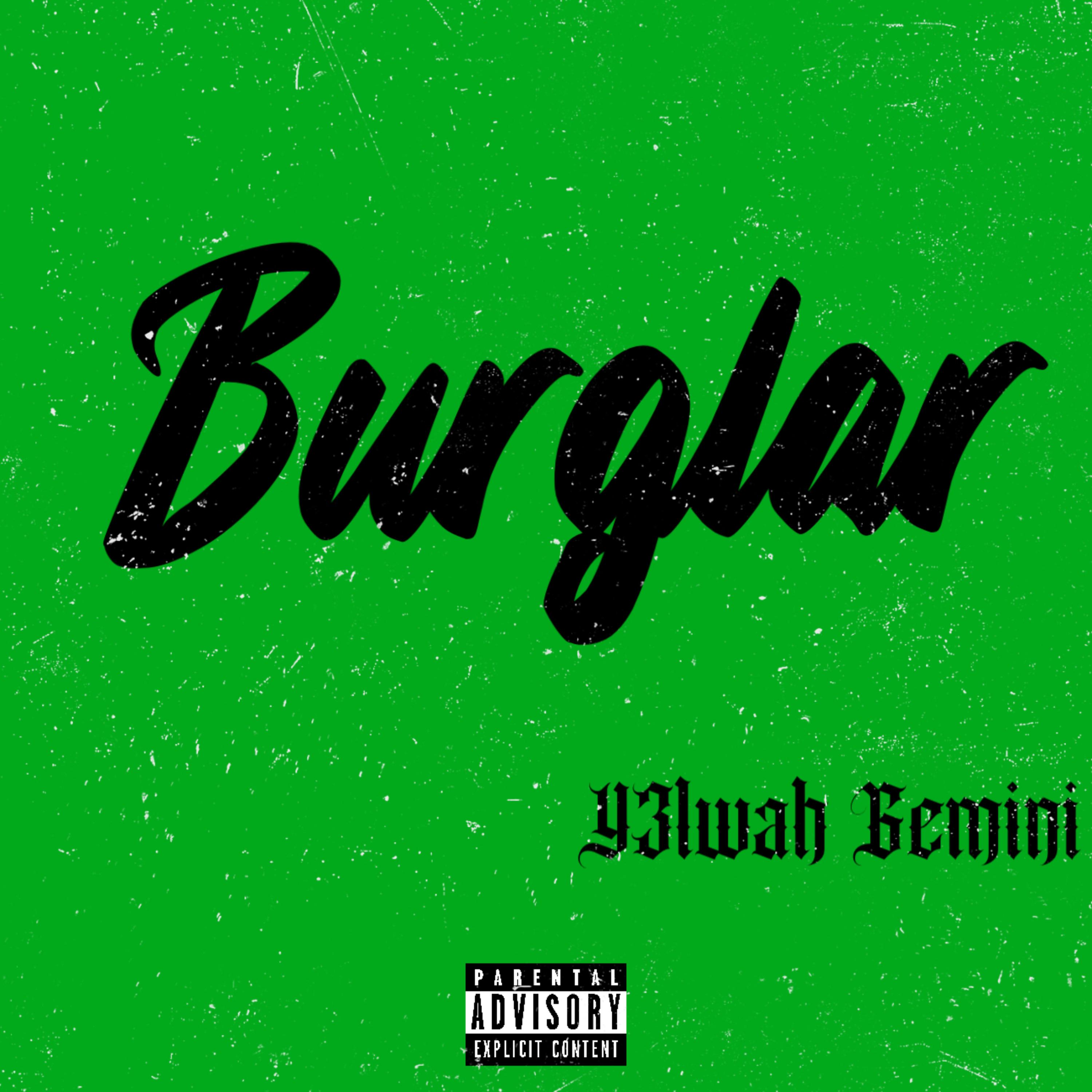 Burglar artwork