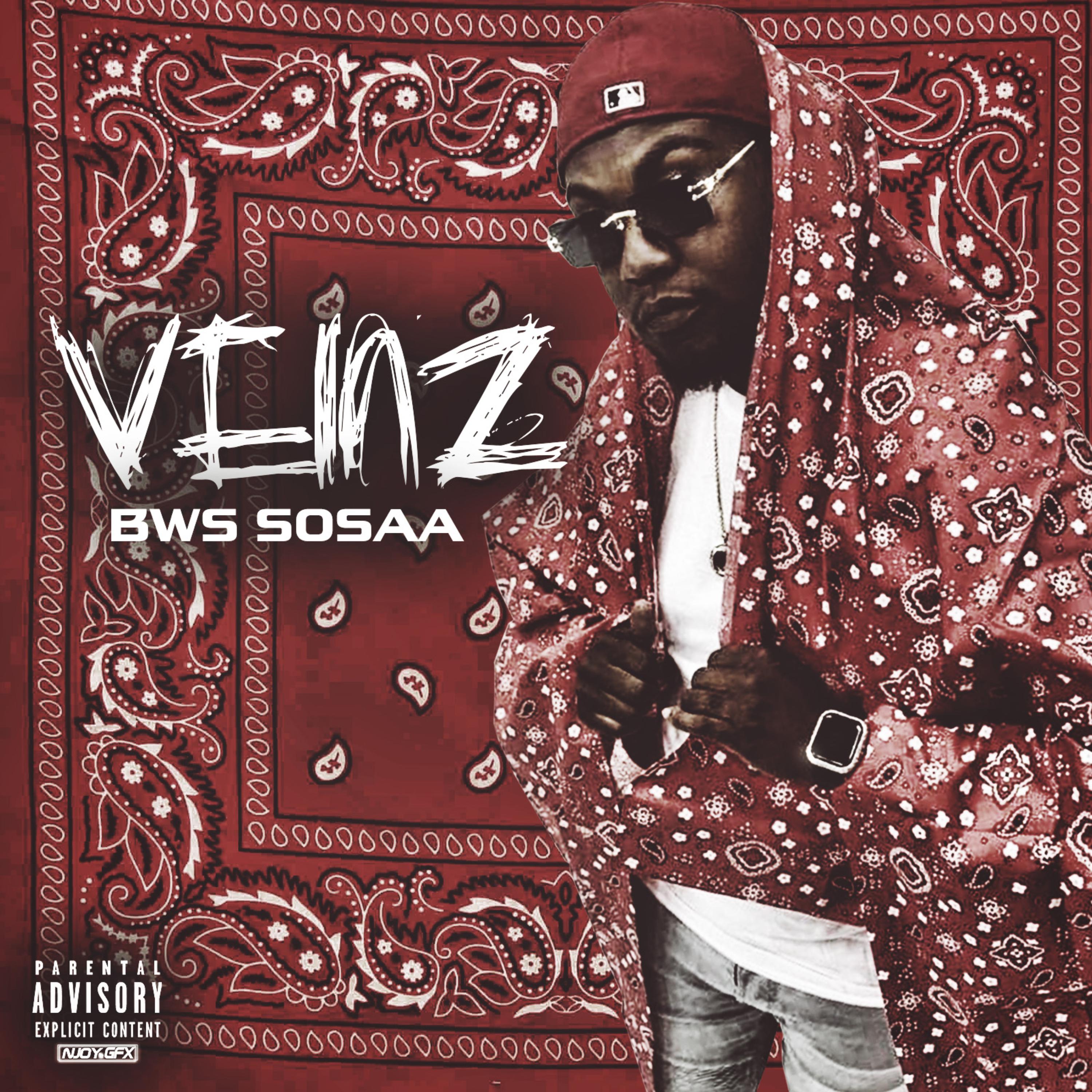 Veinz Clean Version artwork