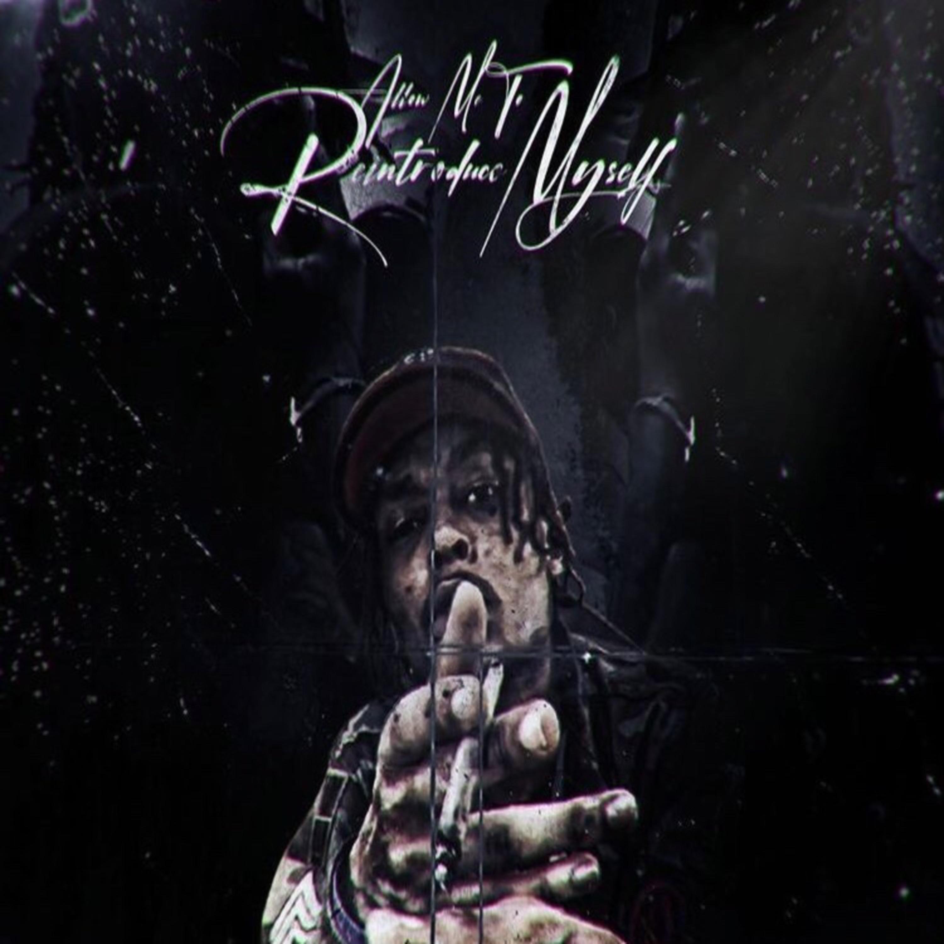 Allow Me To Reintroduce Myself artwork