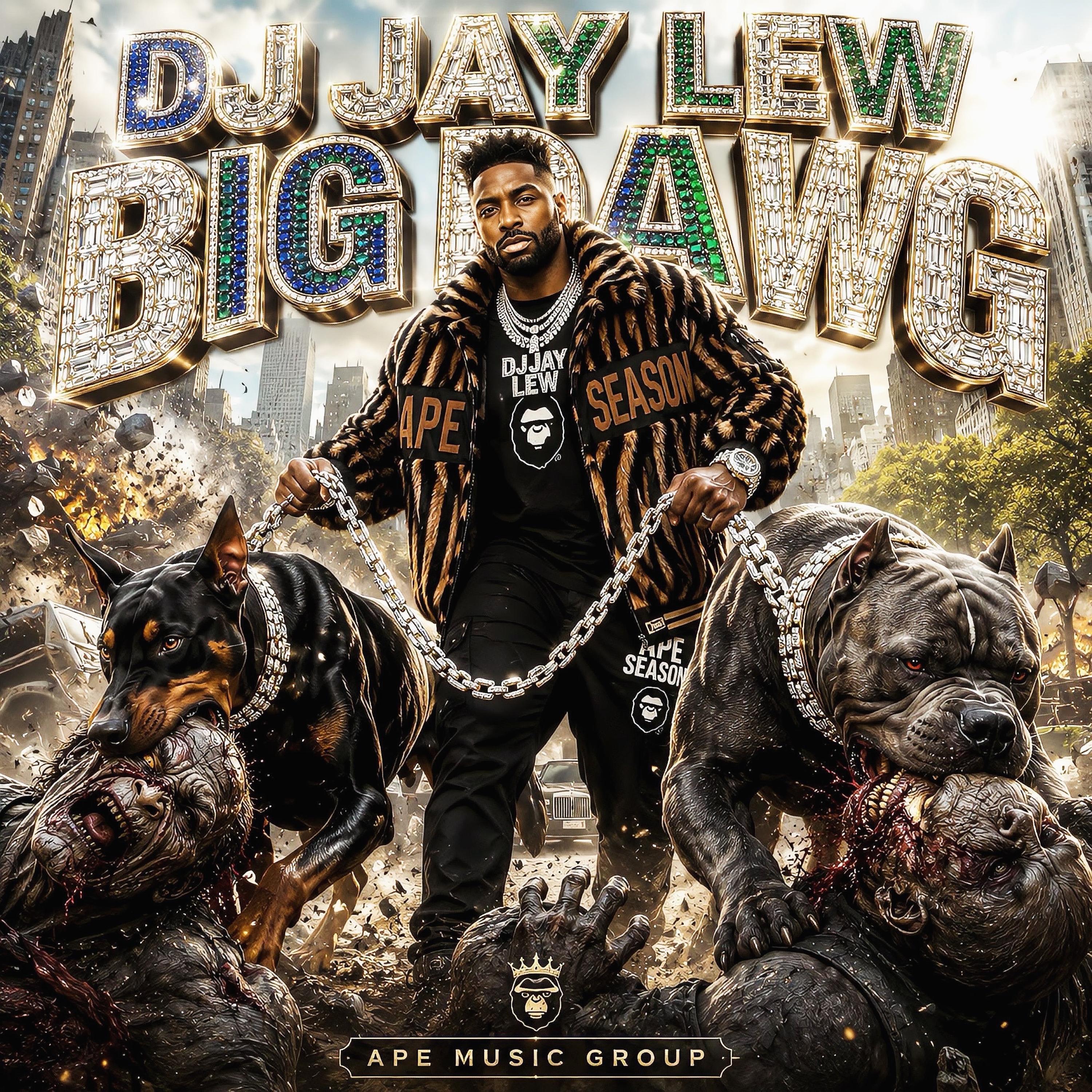 BIG DAWG by DJ JAY LEW cover art