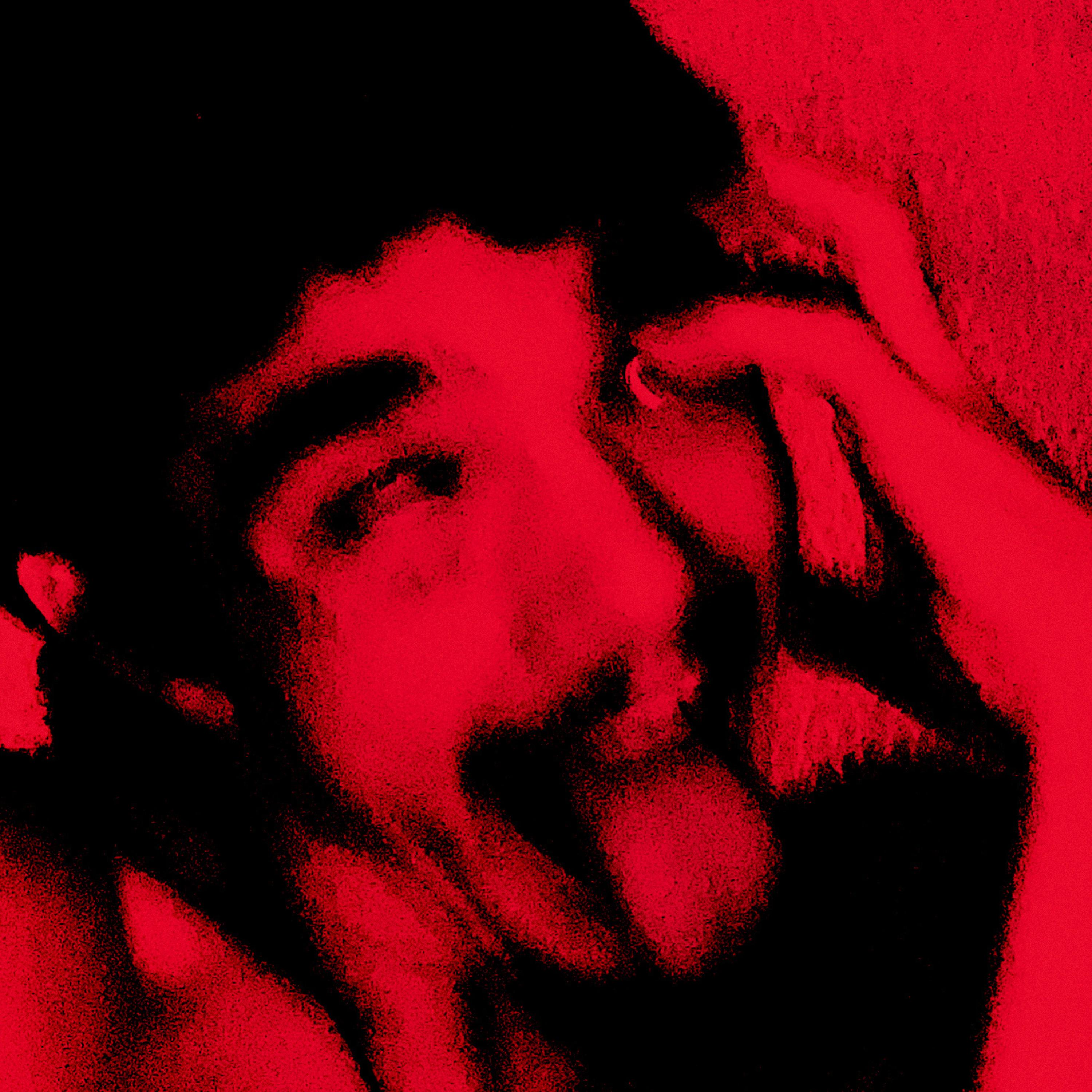 Booted & Secluded artwork