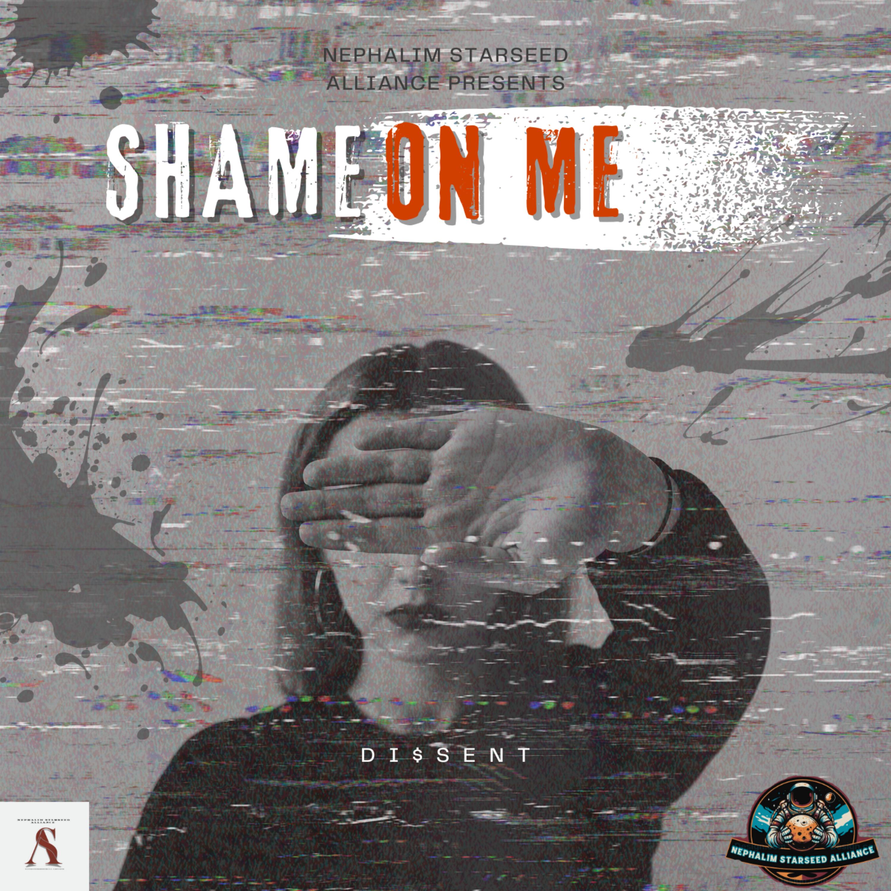 Shame On Me artwork