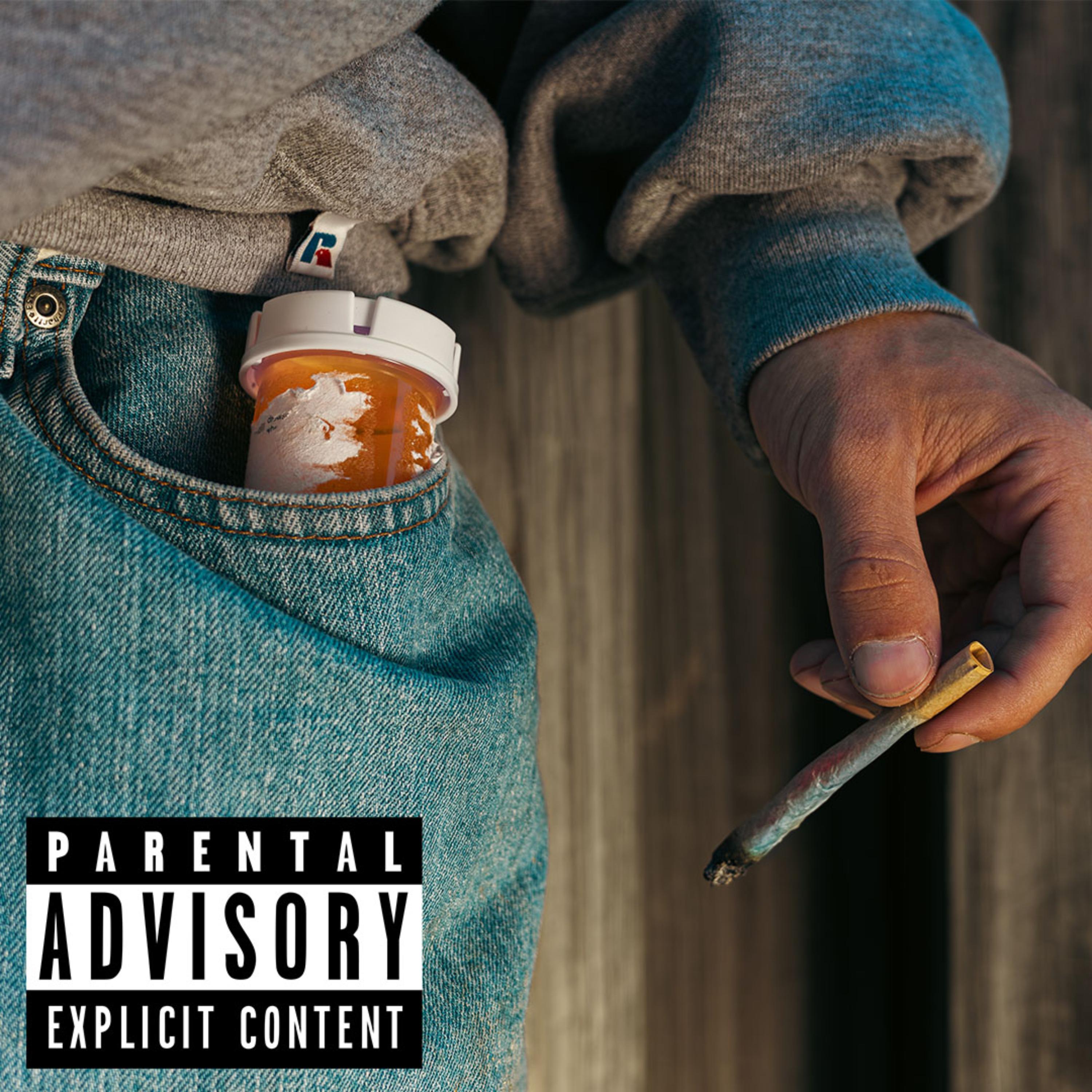 MOLLY IN MY POCKET artwork