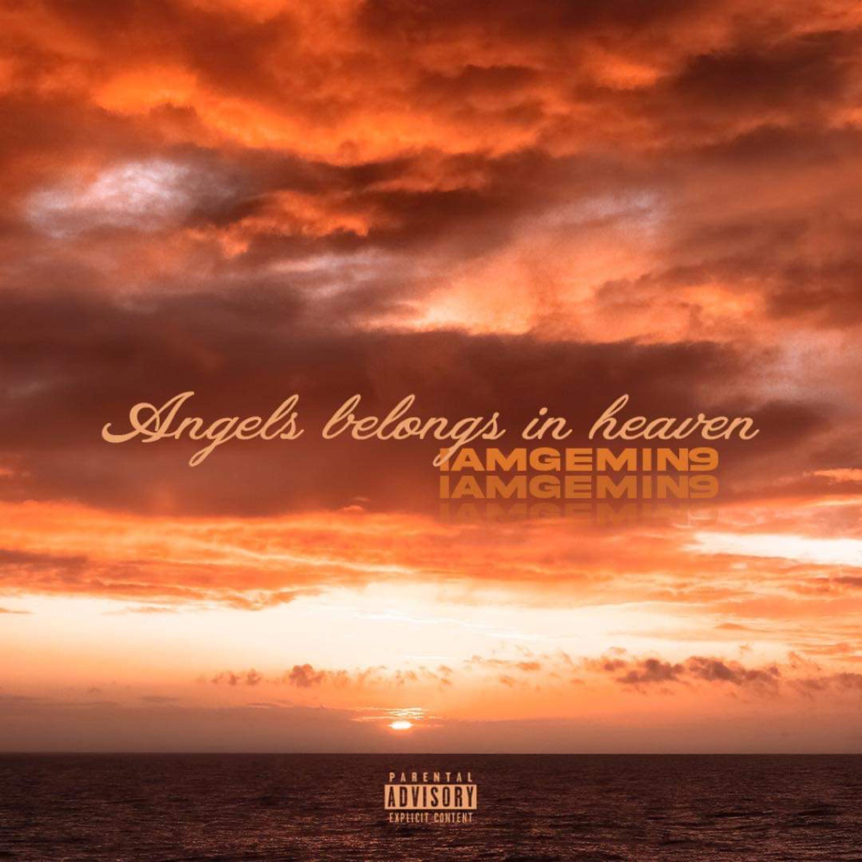 Angels Belongs In Heaven artwork